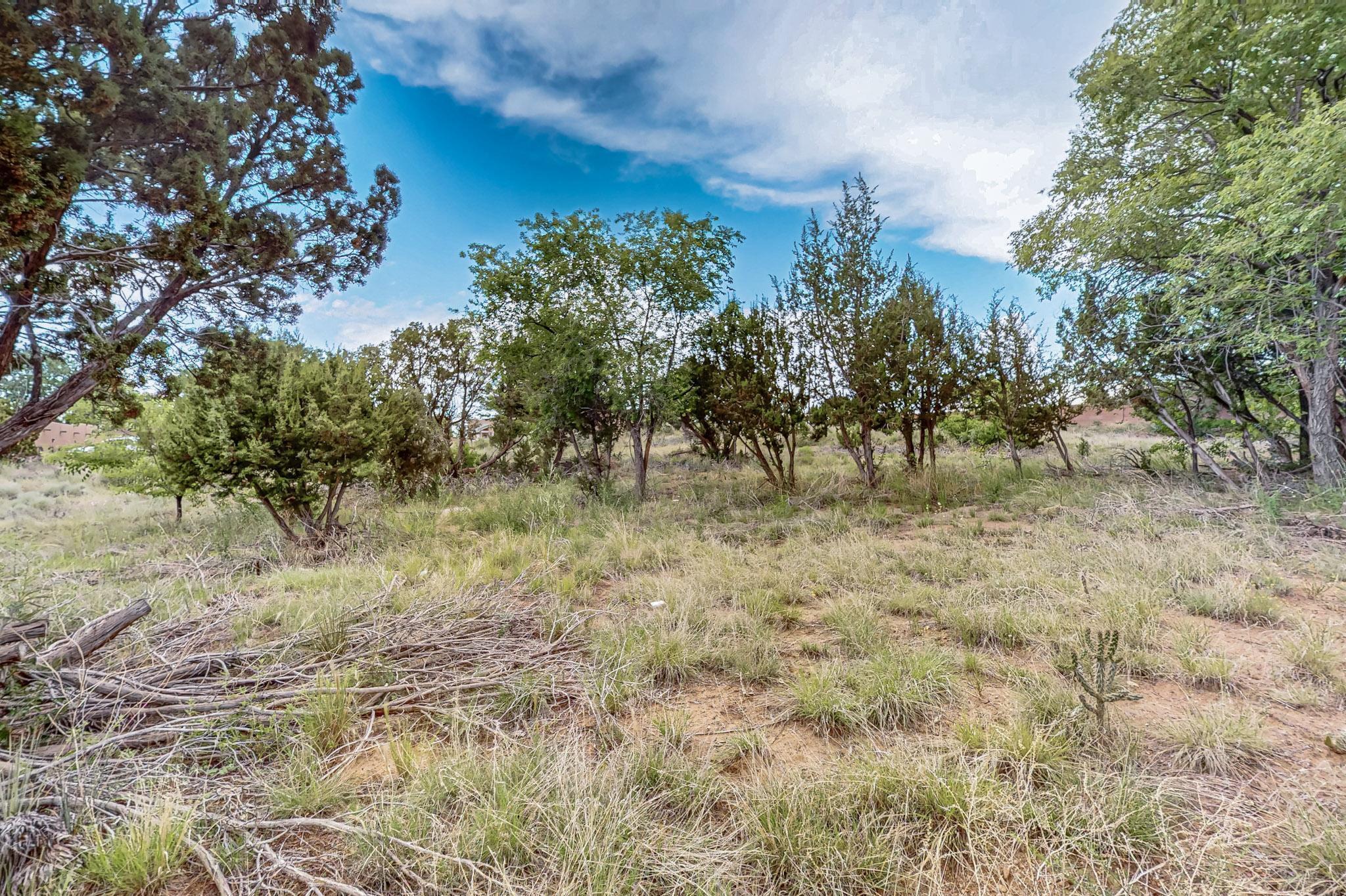 Photo 2 — 3601 Rodeo Lane