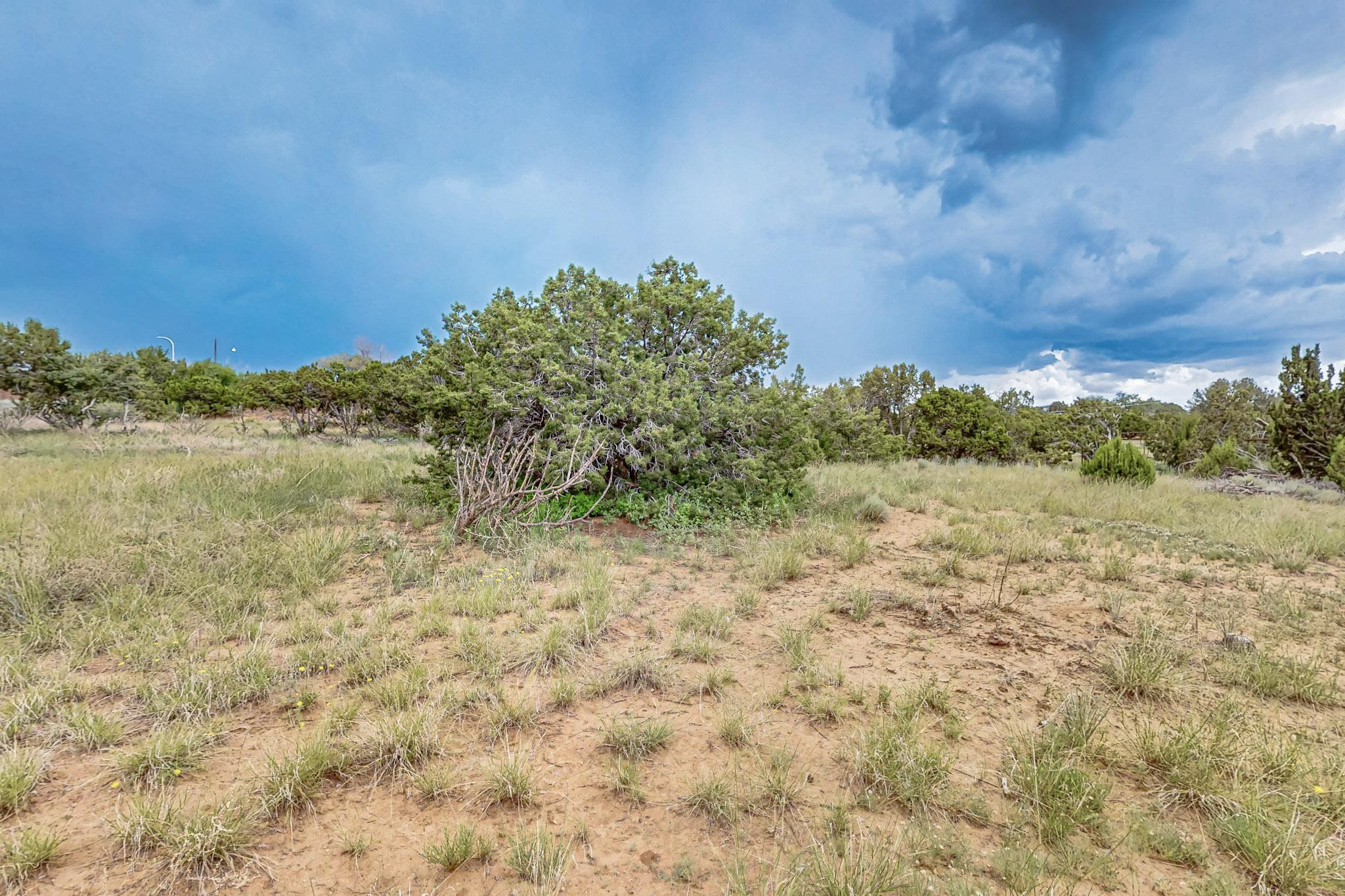 Photo 3 — 3601 Rodeo Lane