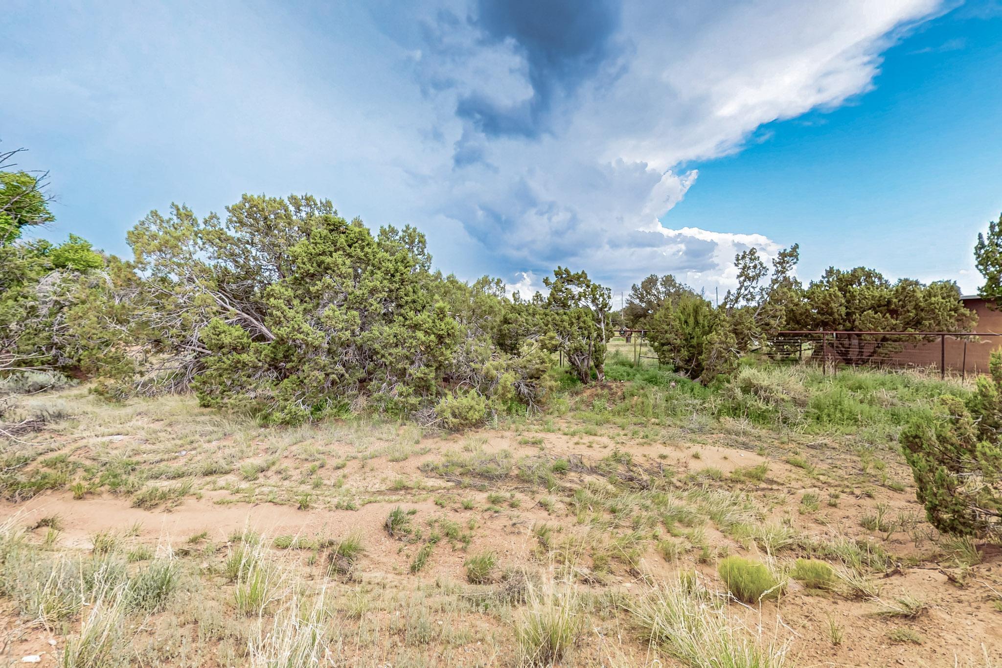 Photo 4 — 3601 Rodeo Lane