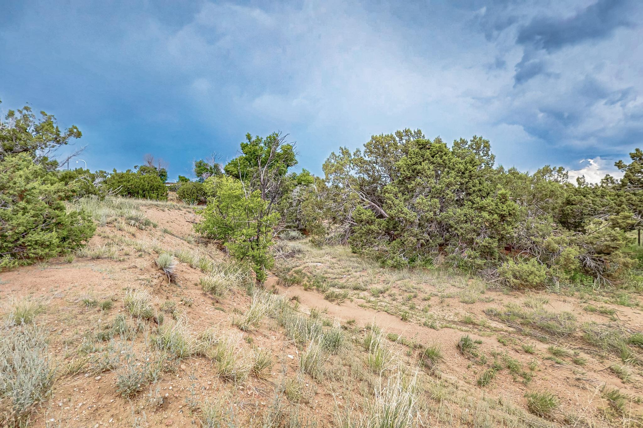 Photo 5 — 3601 Rodeo Lane