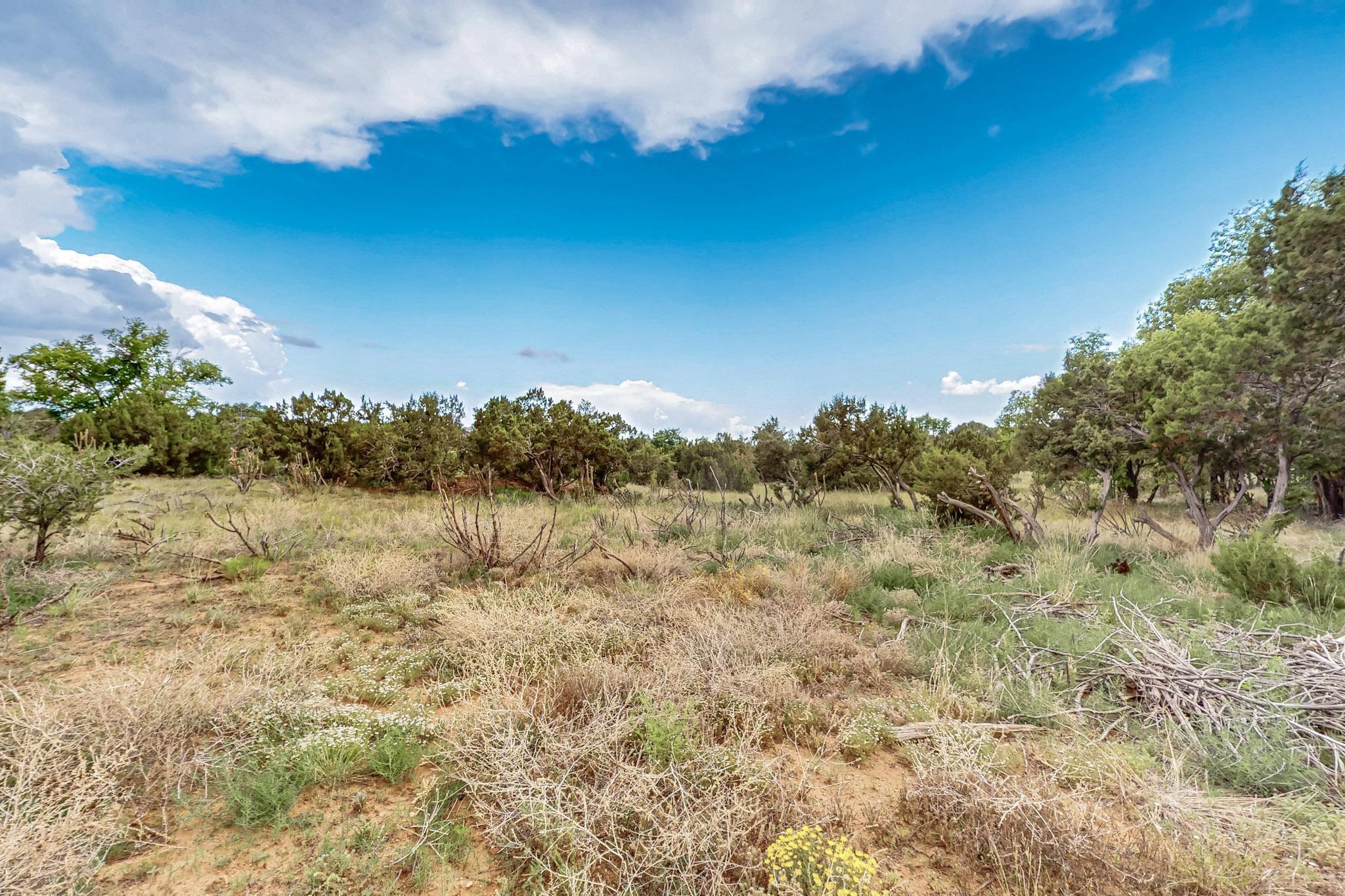 Photo 6 — 3601 Rodeo Lane