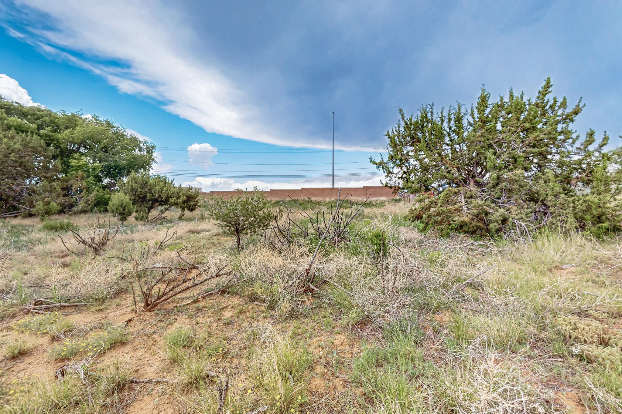 Photo 8 — 3601 Rodeo Lane