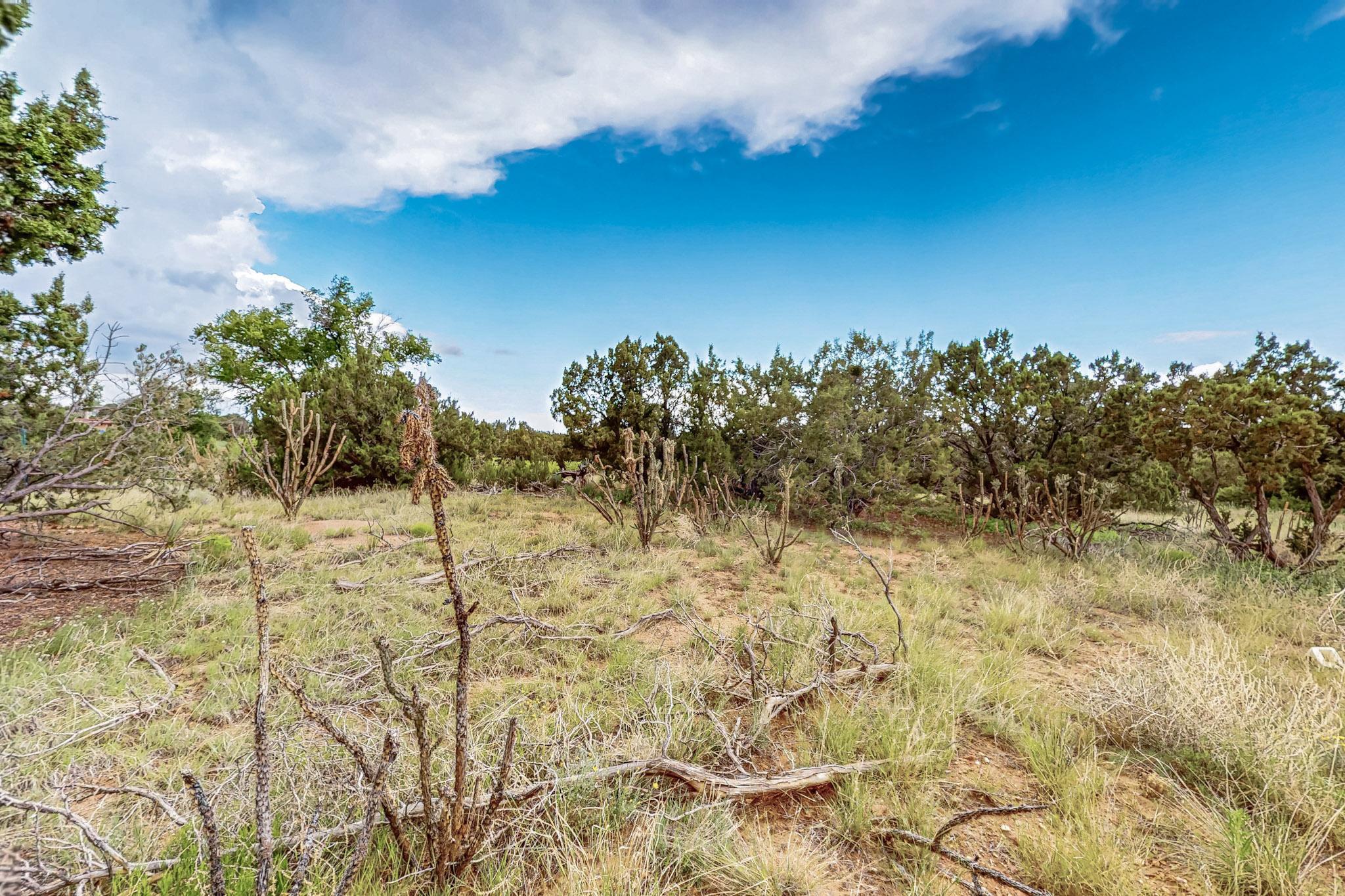 Photo 9 — 3601 Rodeo Lane