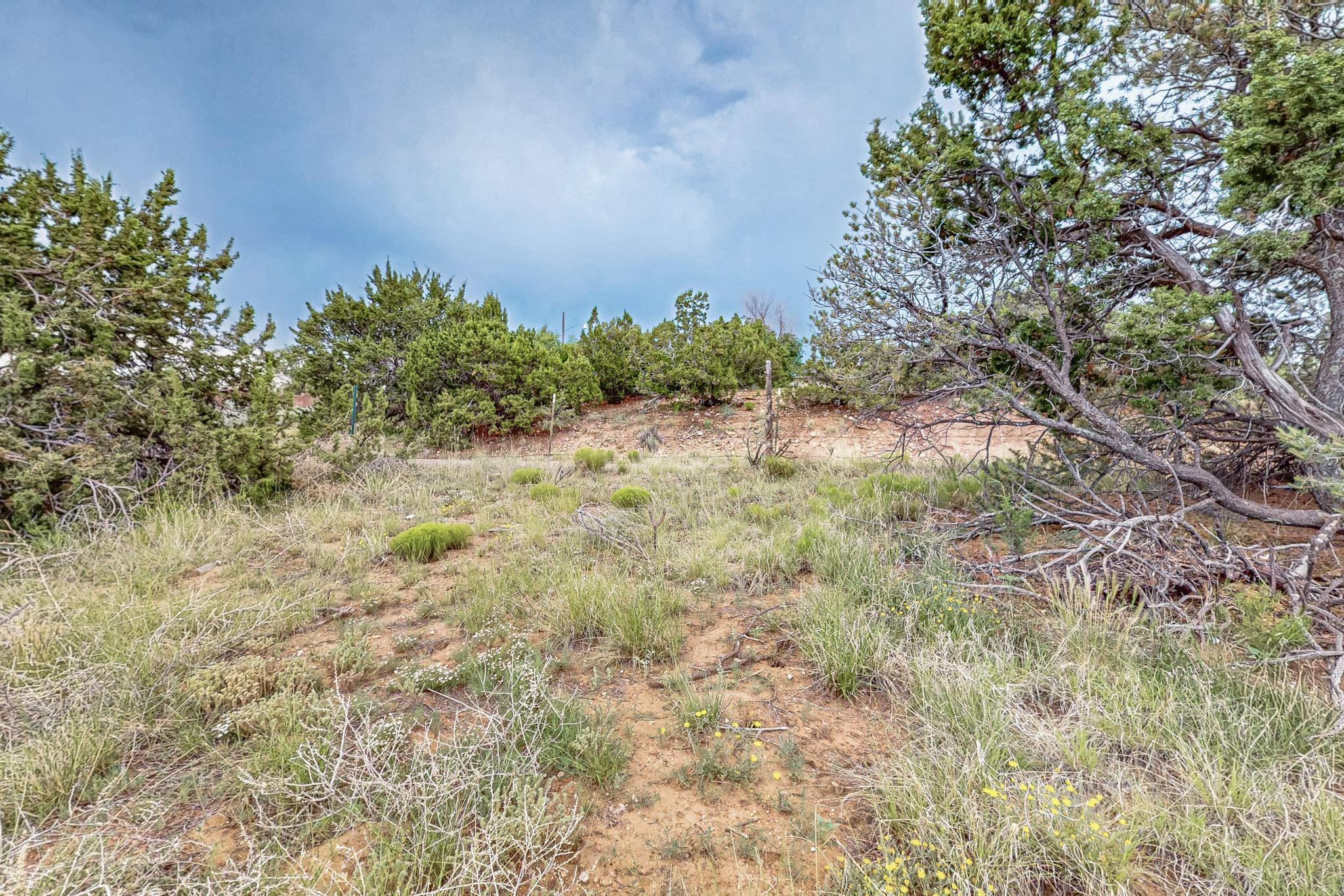 Photo 10 — 3601 Rodeo Lane