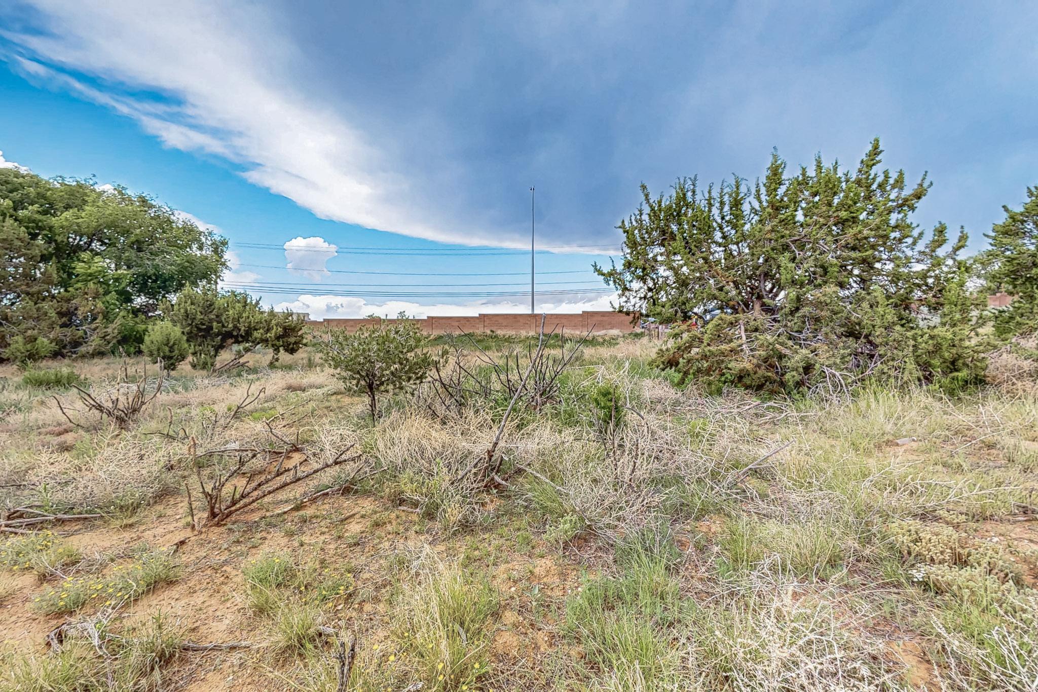 Photo 11 — 3601 Rodeo Lane