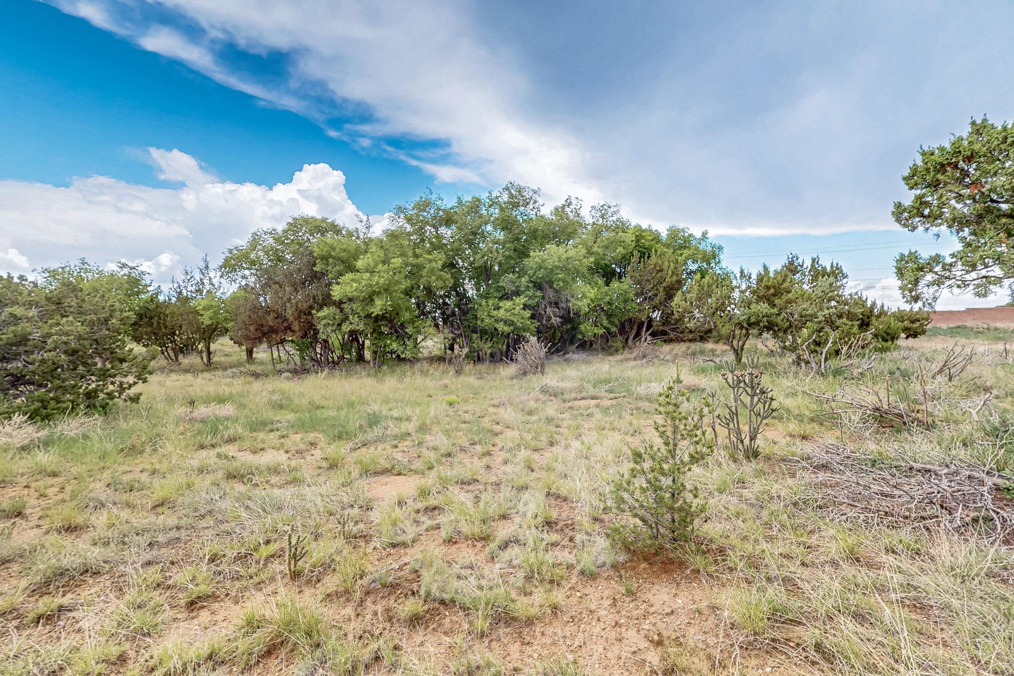 Photo 12 — 3601 Rodeo Lane