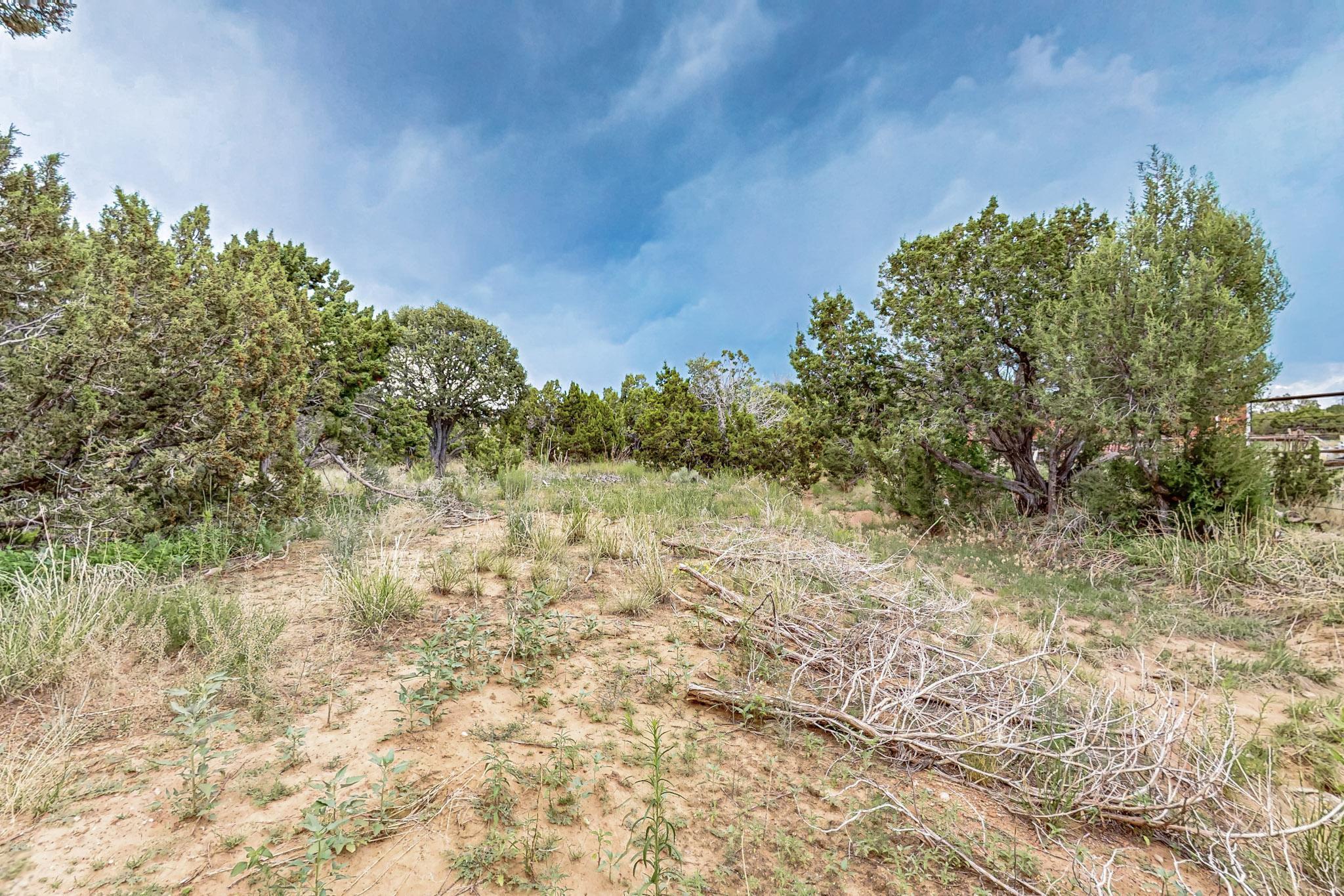 Photo 14 — 3601 Rodeo Lane