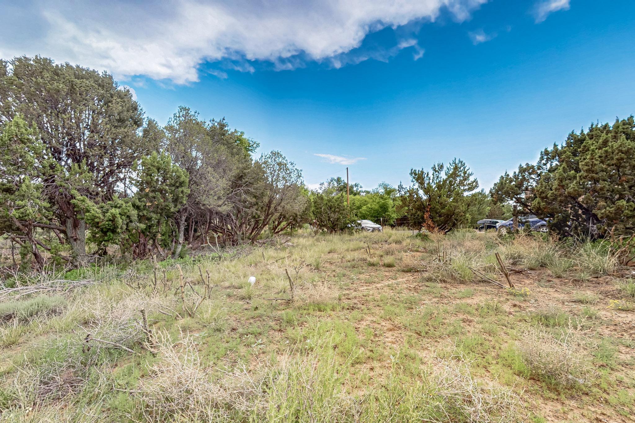 Photo 16 — 3601 Rodeo Lane