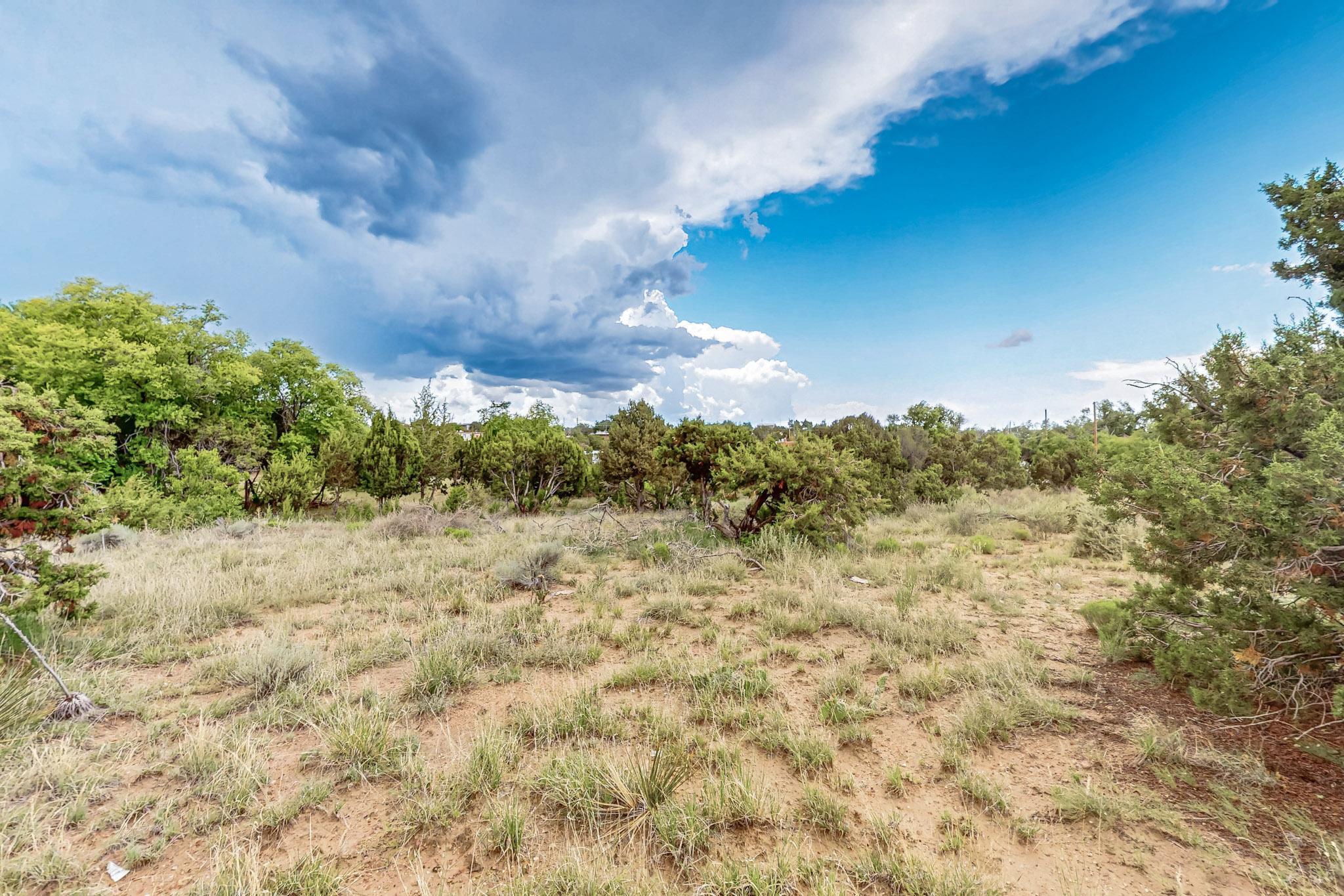 Photo 17 — 3601 Rodeo Lane