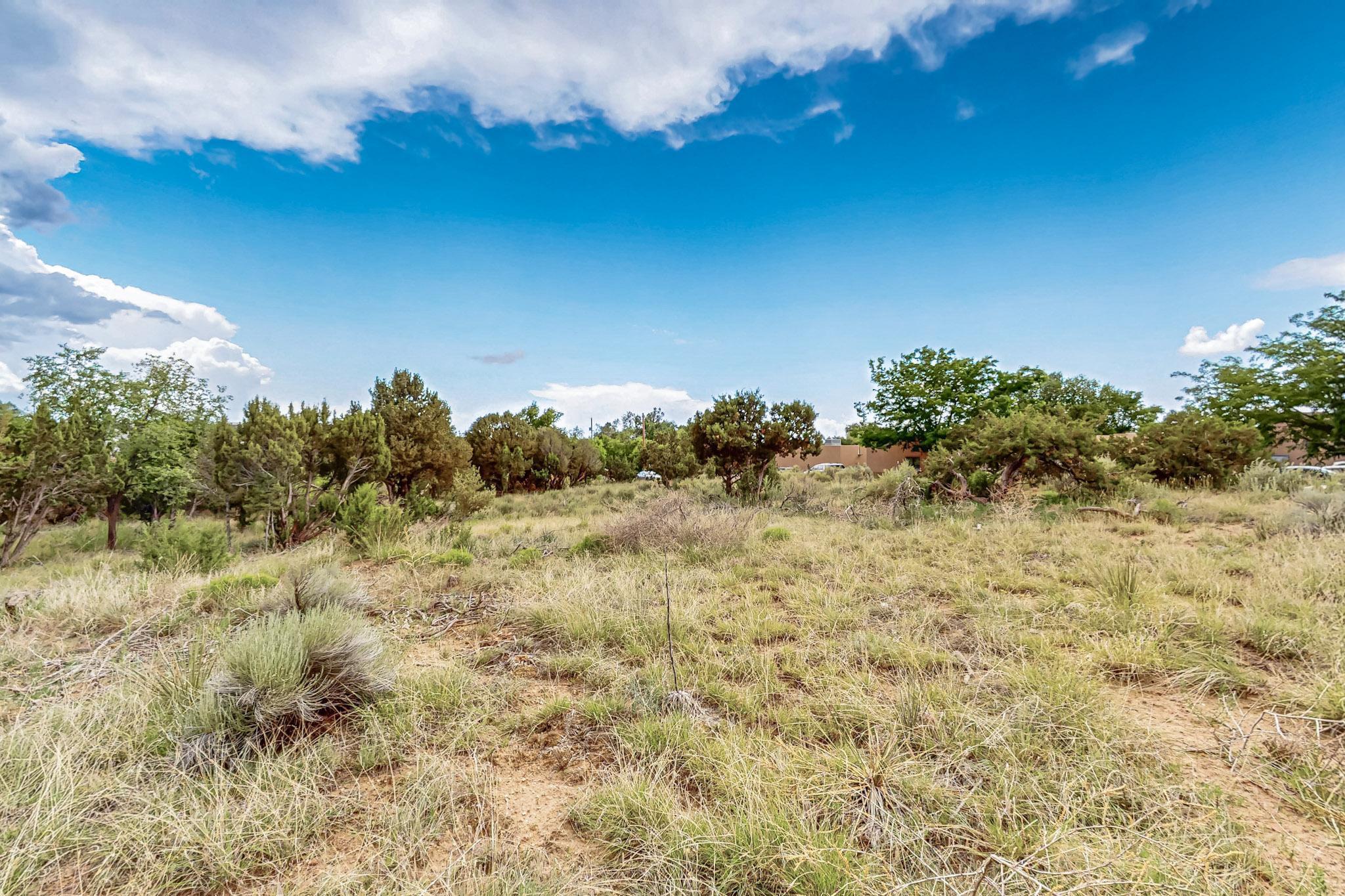 Photo 19 — 3601 Rodeo Lane