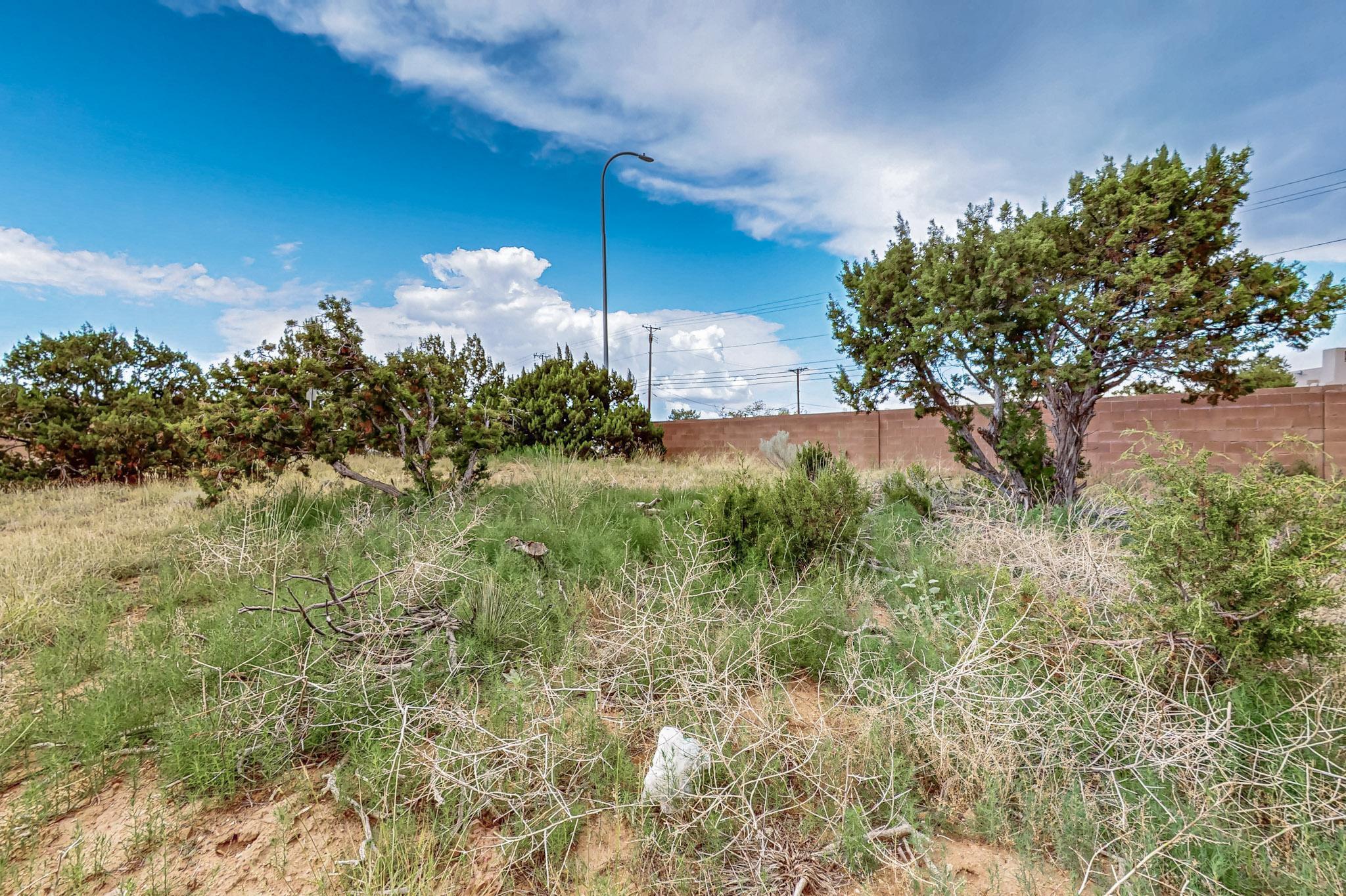 Photo 20 — 3601 Rodeo Lane