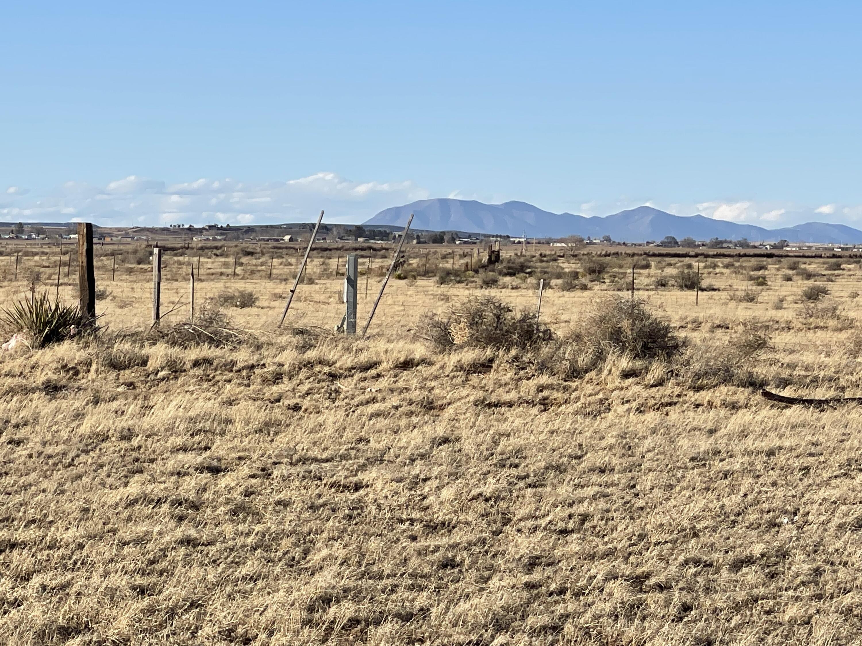 Photo 4 —  Adobe Acres Tract 1