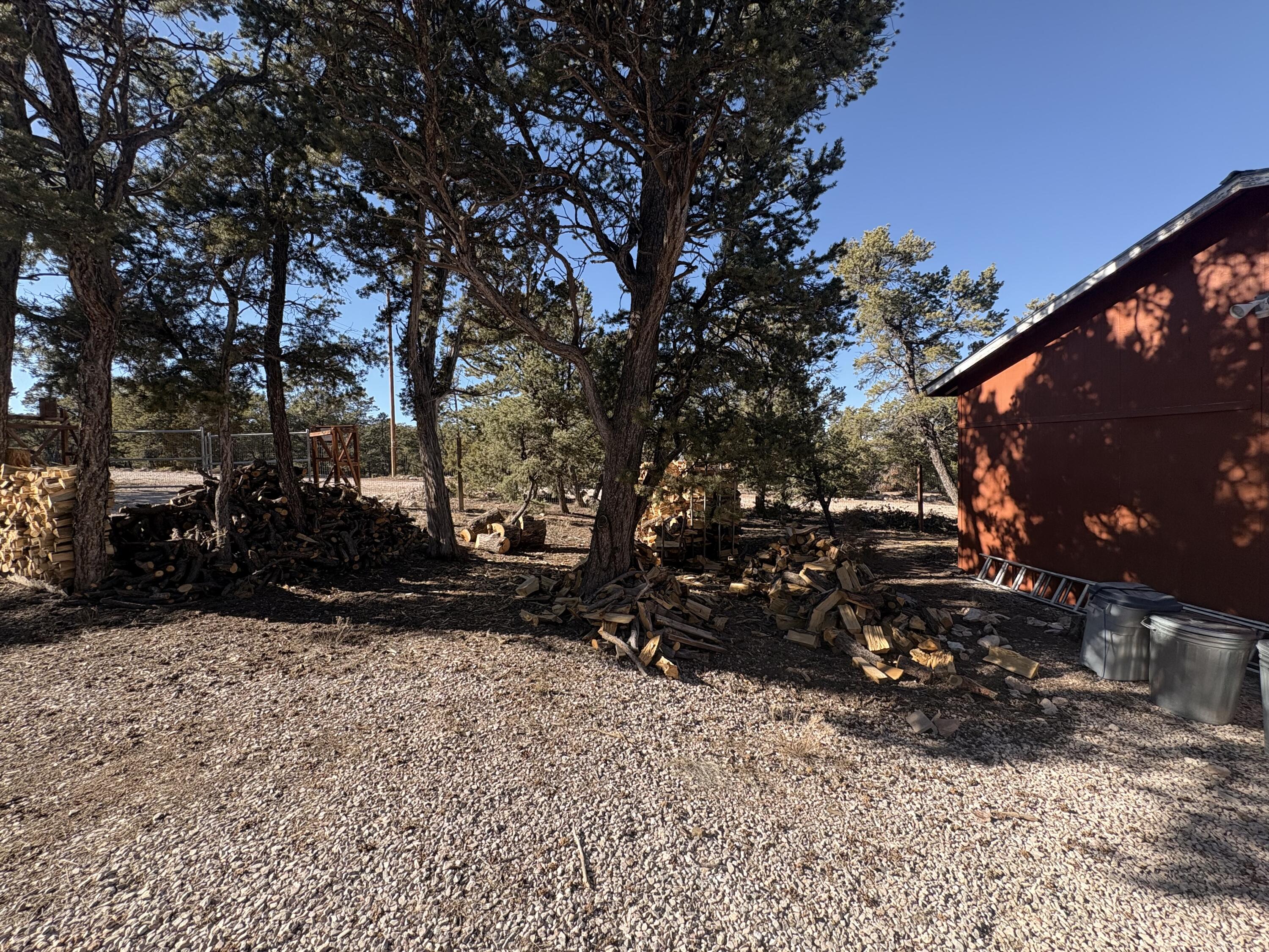 Photo 4 — 33 CARP Road