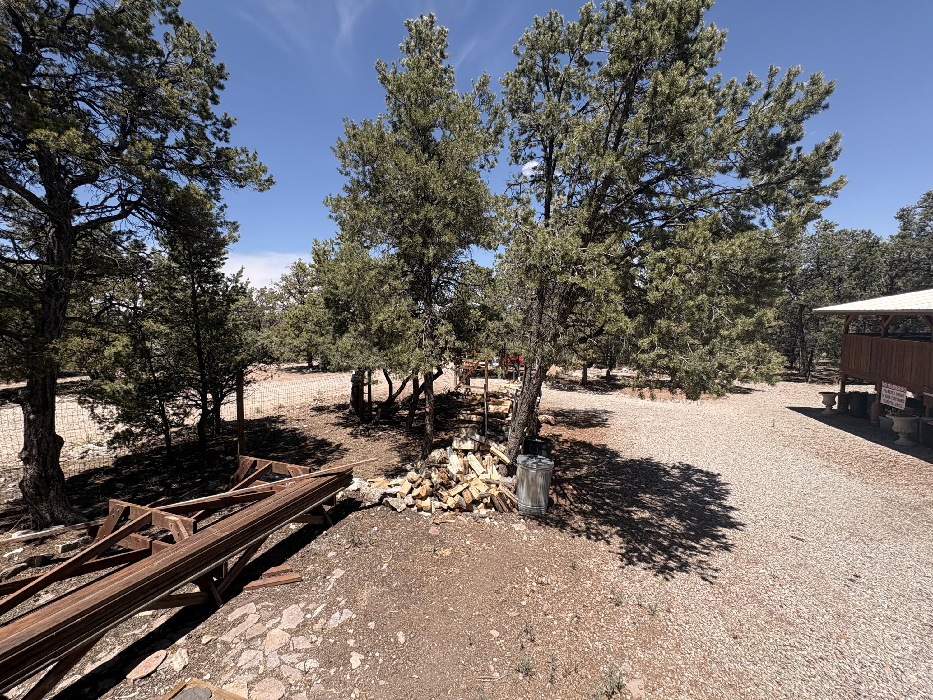 Photo 17 — 33 CARP Road
