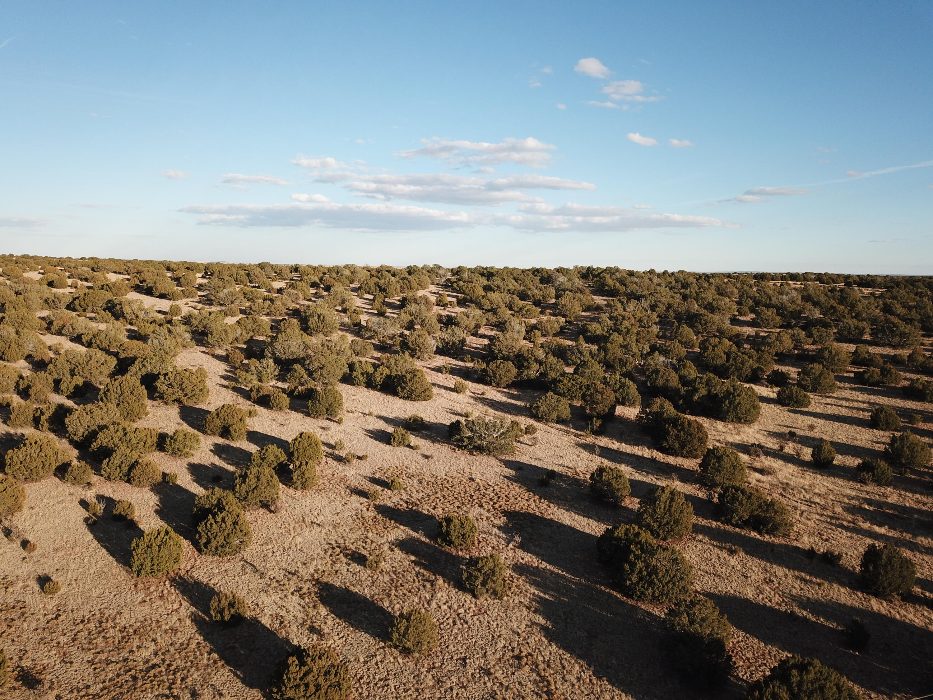 Photo 4 — Tract 16 Portrillo Creek Ranch