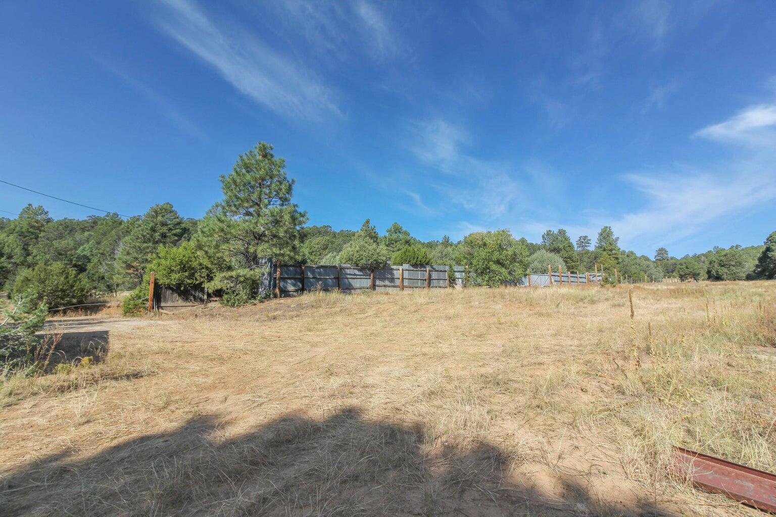 Photo 9 — 12 Ballenger Ranch Road