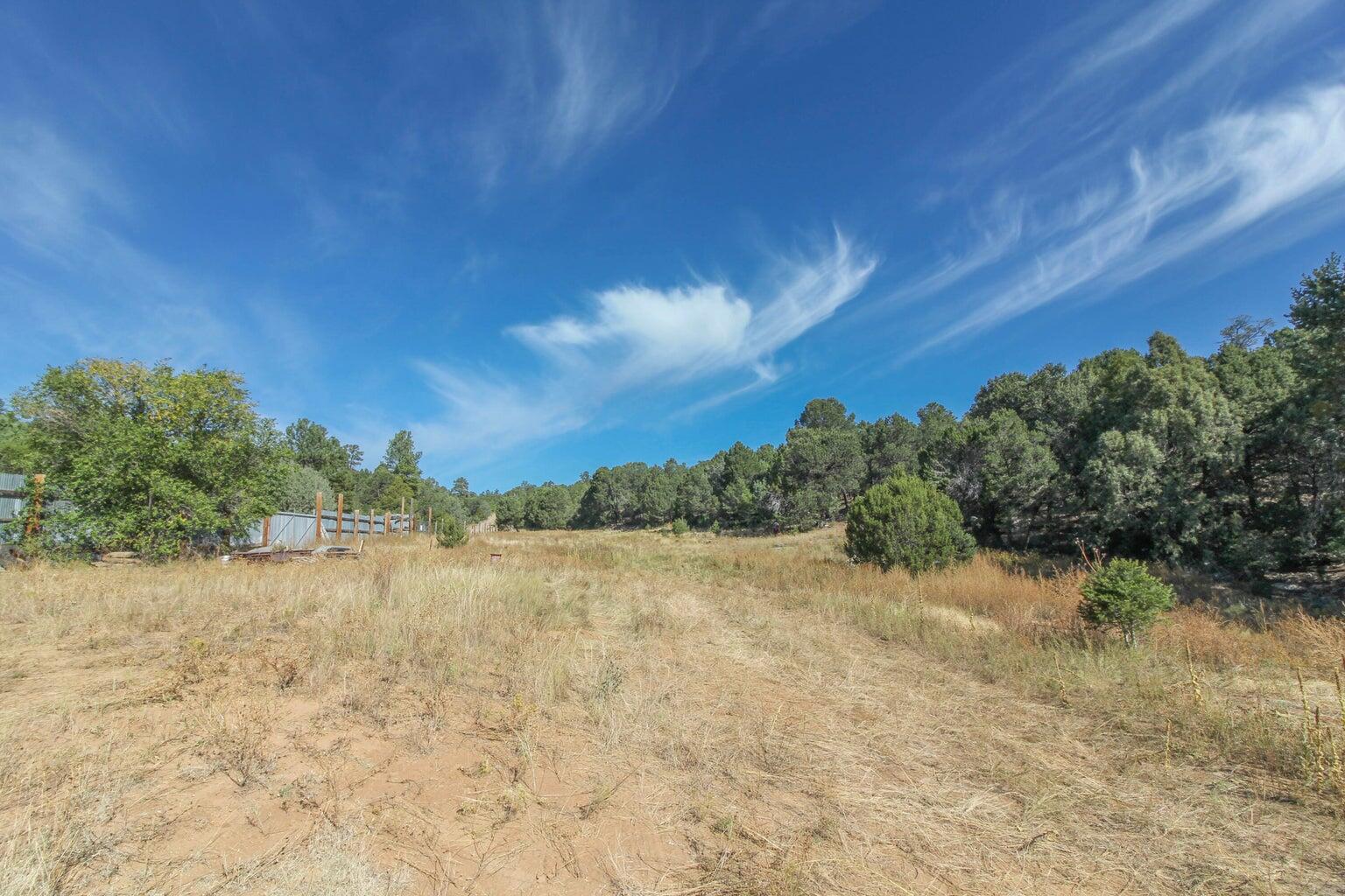 Photo 8 — 12 Ballenger Ranch Road