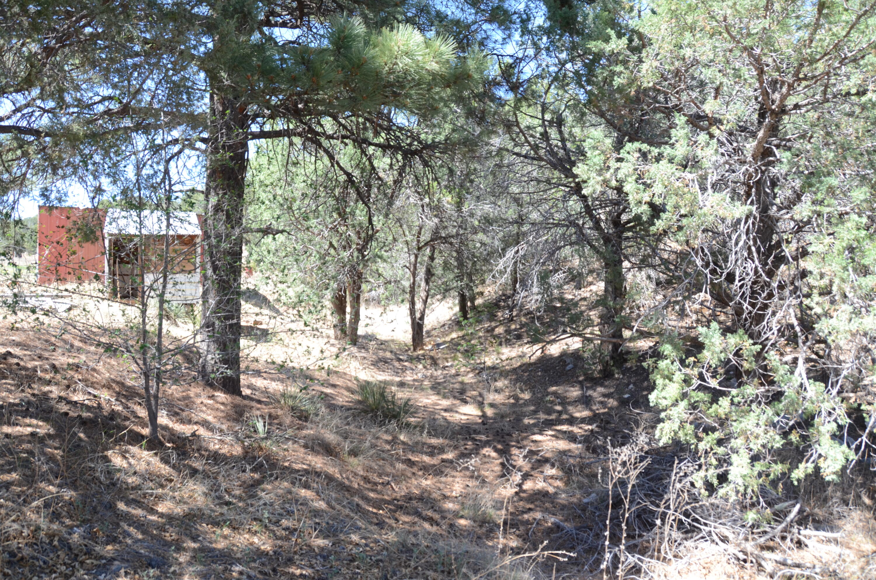 Photo 7 — 12 Ballenger Ranch Road