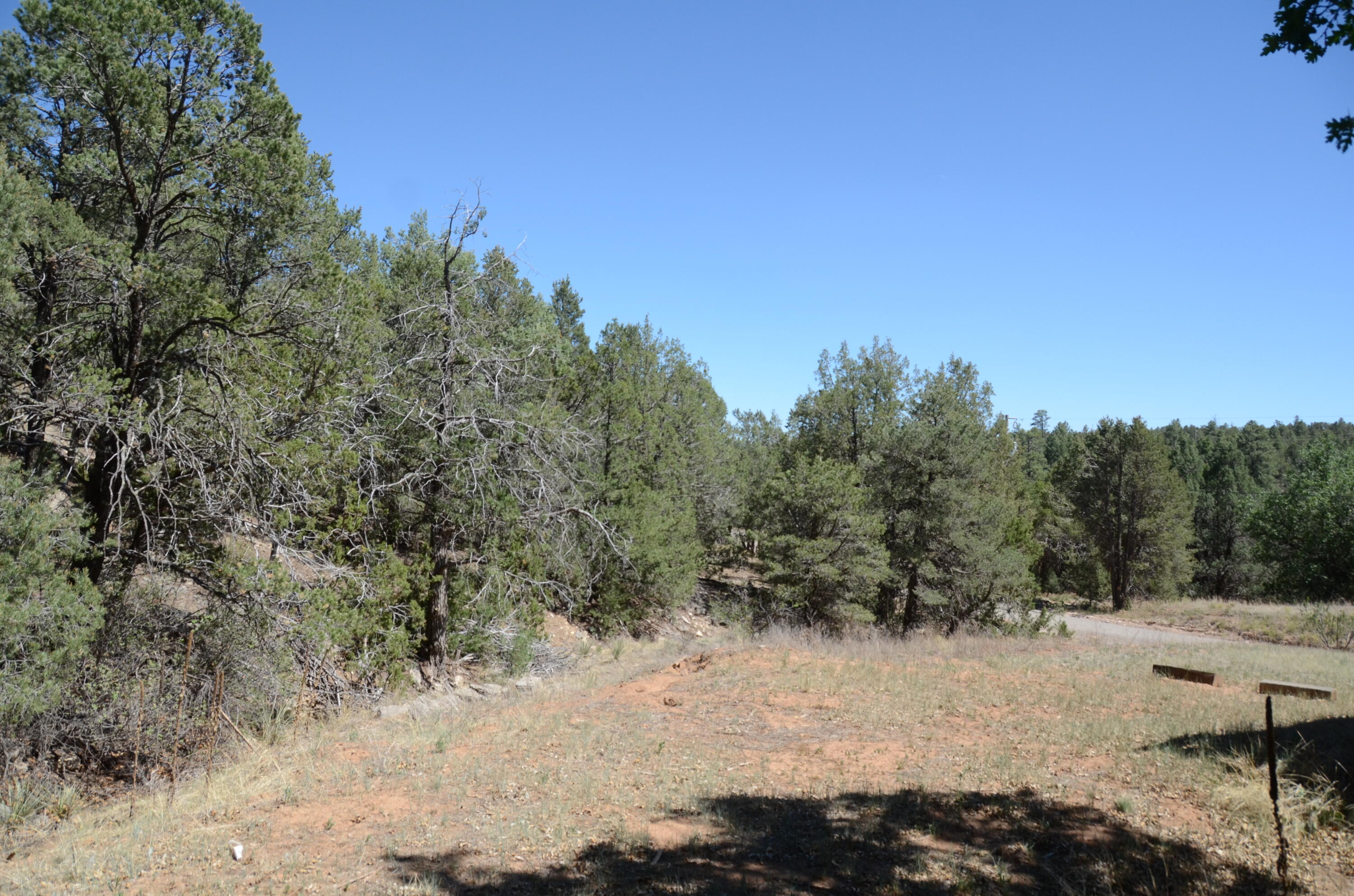 Photo 3 — 12 Ballenger Ranch Road