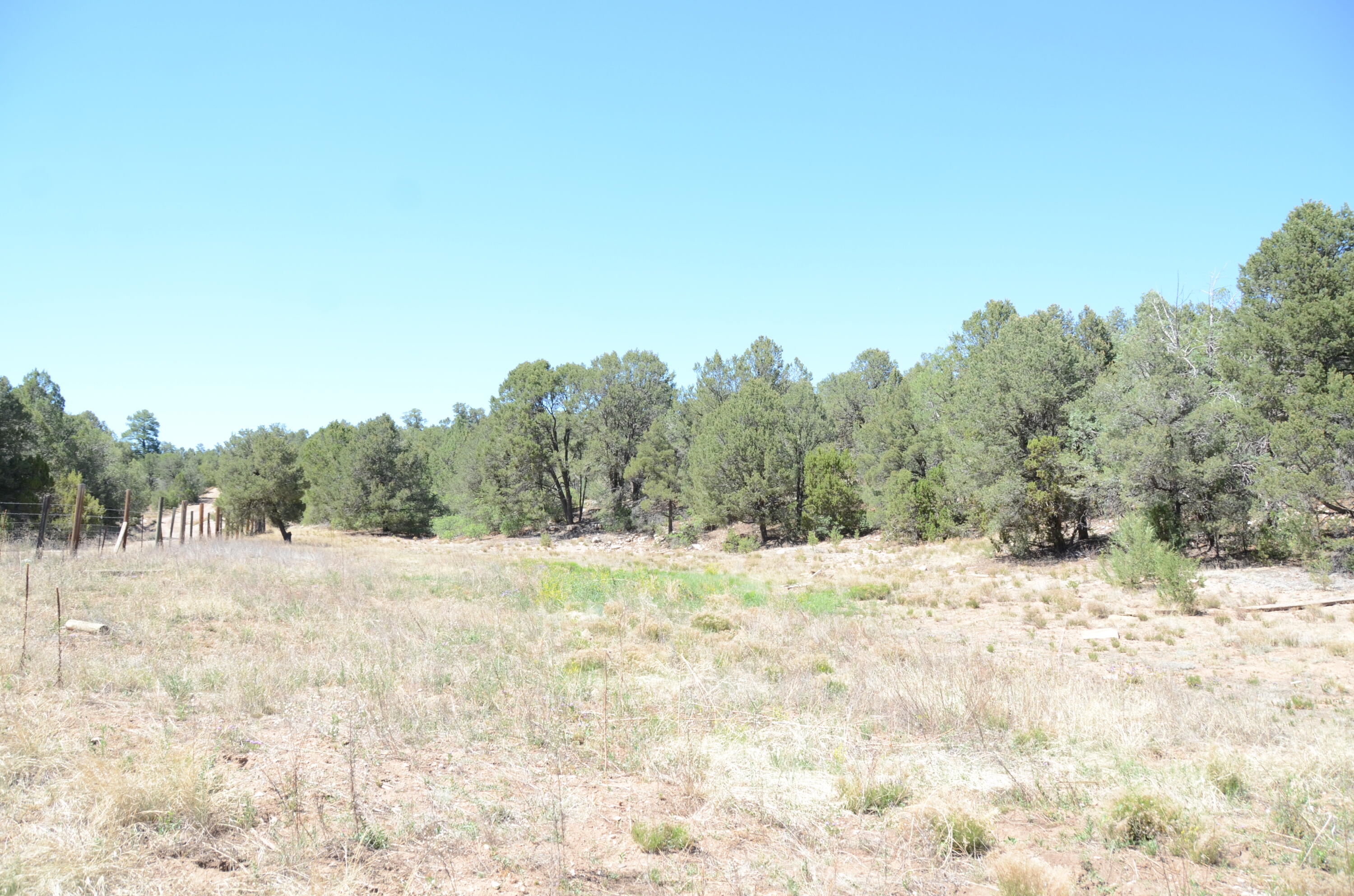Photo 4 — 12 Ballenger Ranch Road
