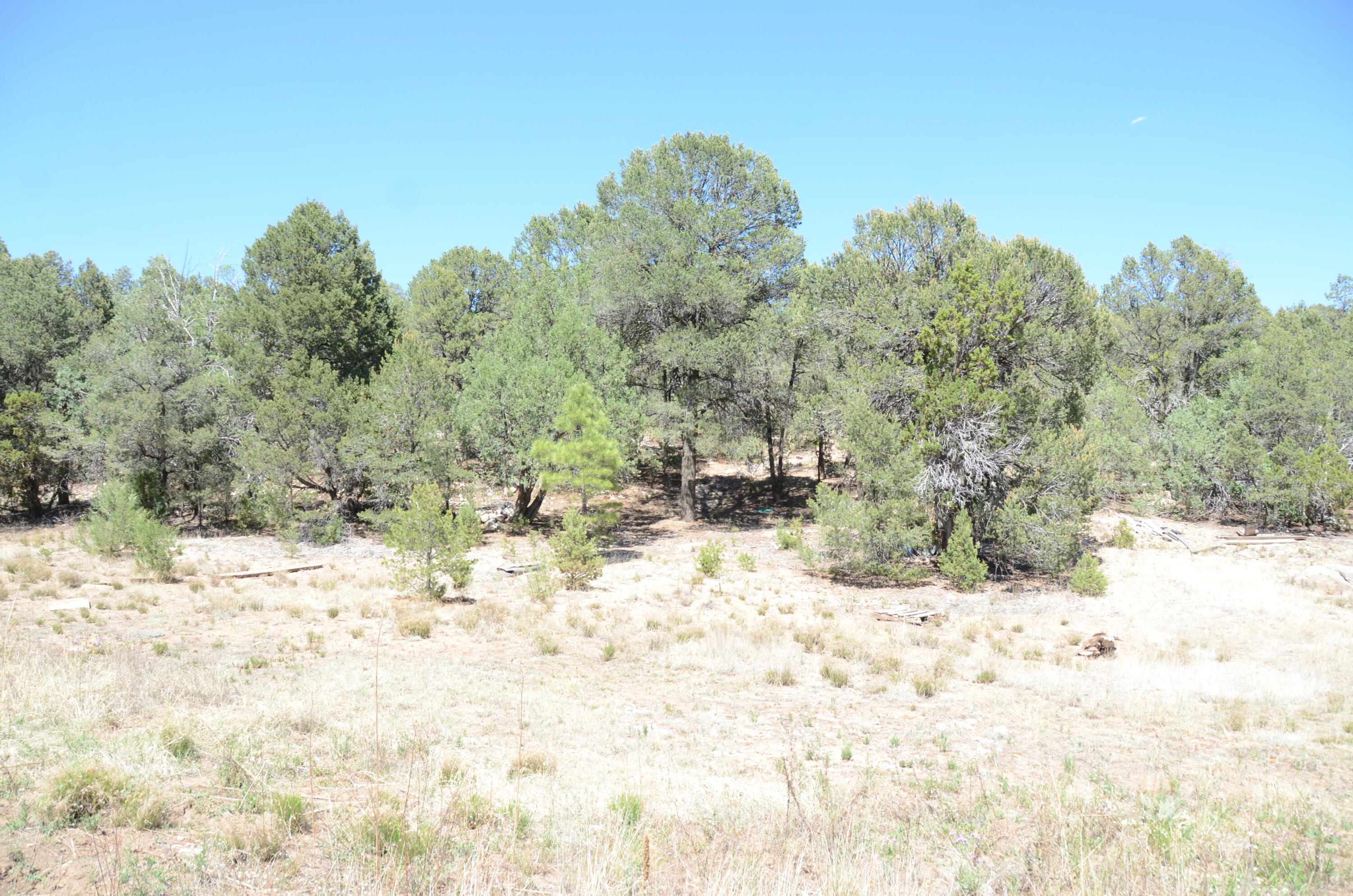 Photo 5 — 12 Ballenger Ranch Road
