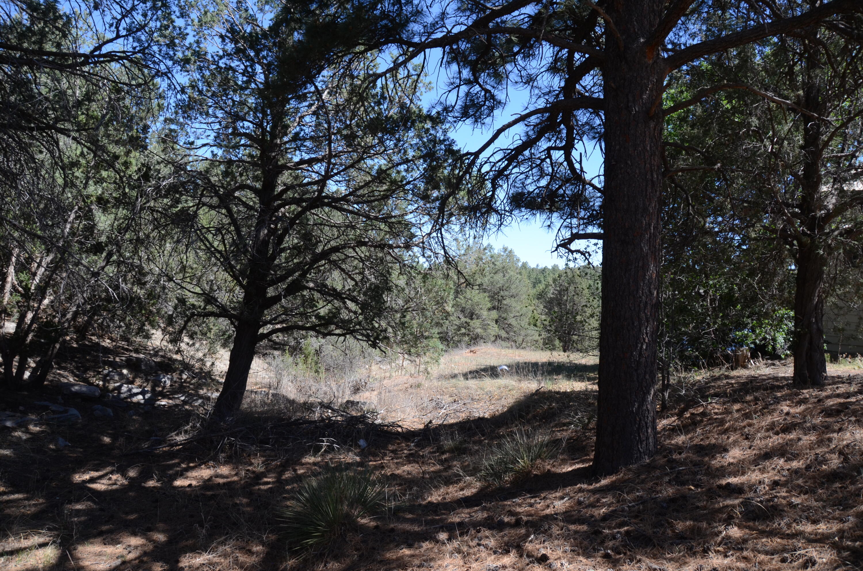 Photo 2 — 12 Ballenger Ranch Road
