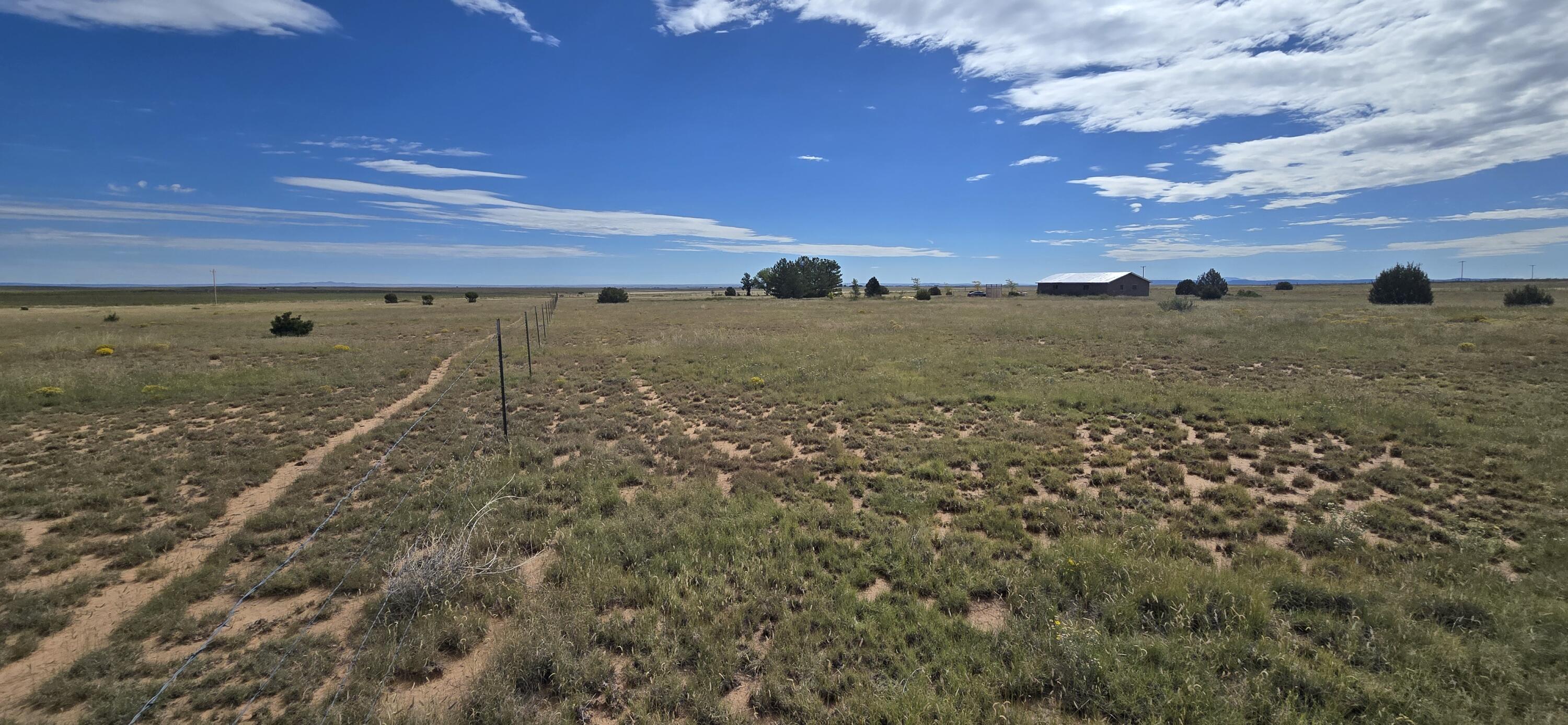Photo 9 — 235 Riley Road