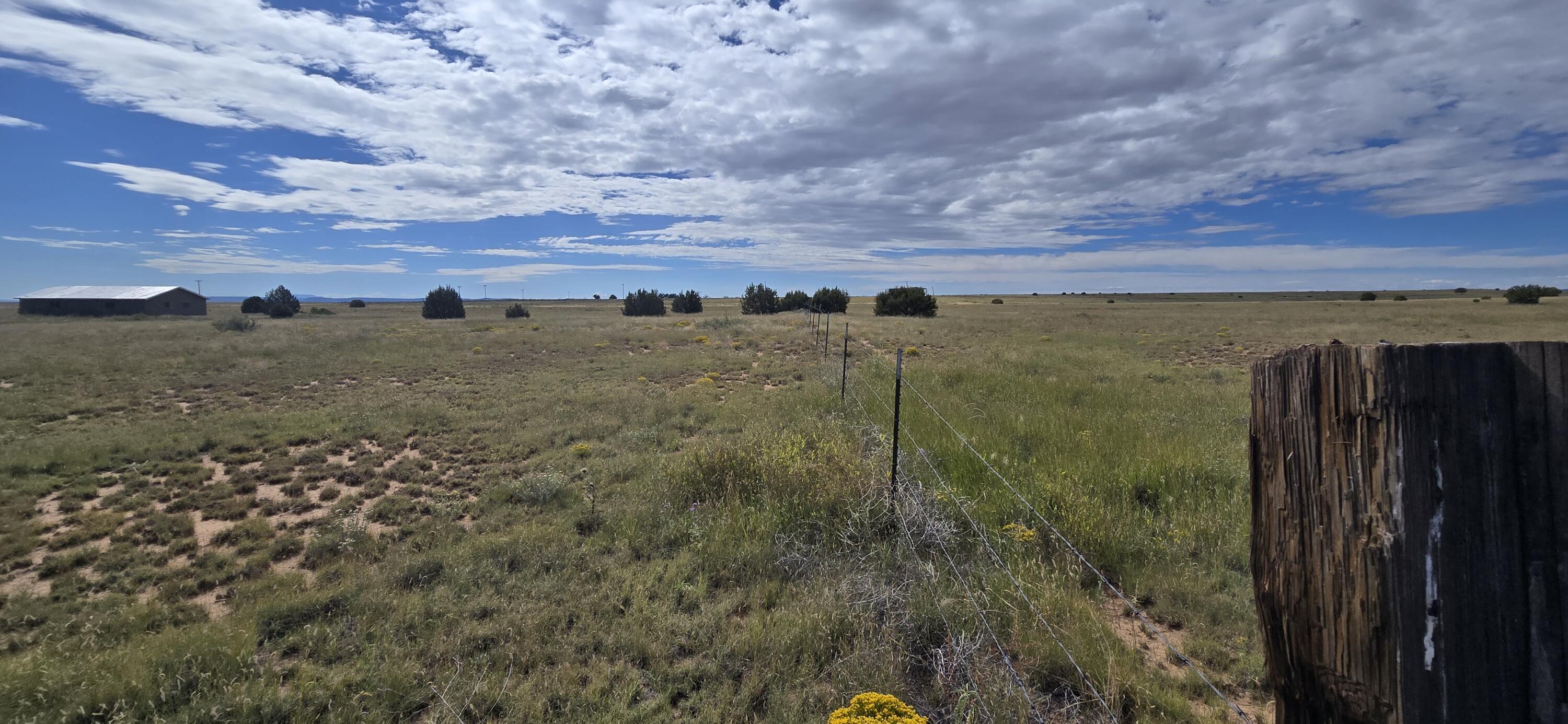 Photo 2 — 235 Riley Road