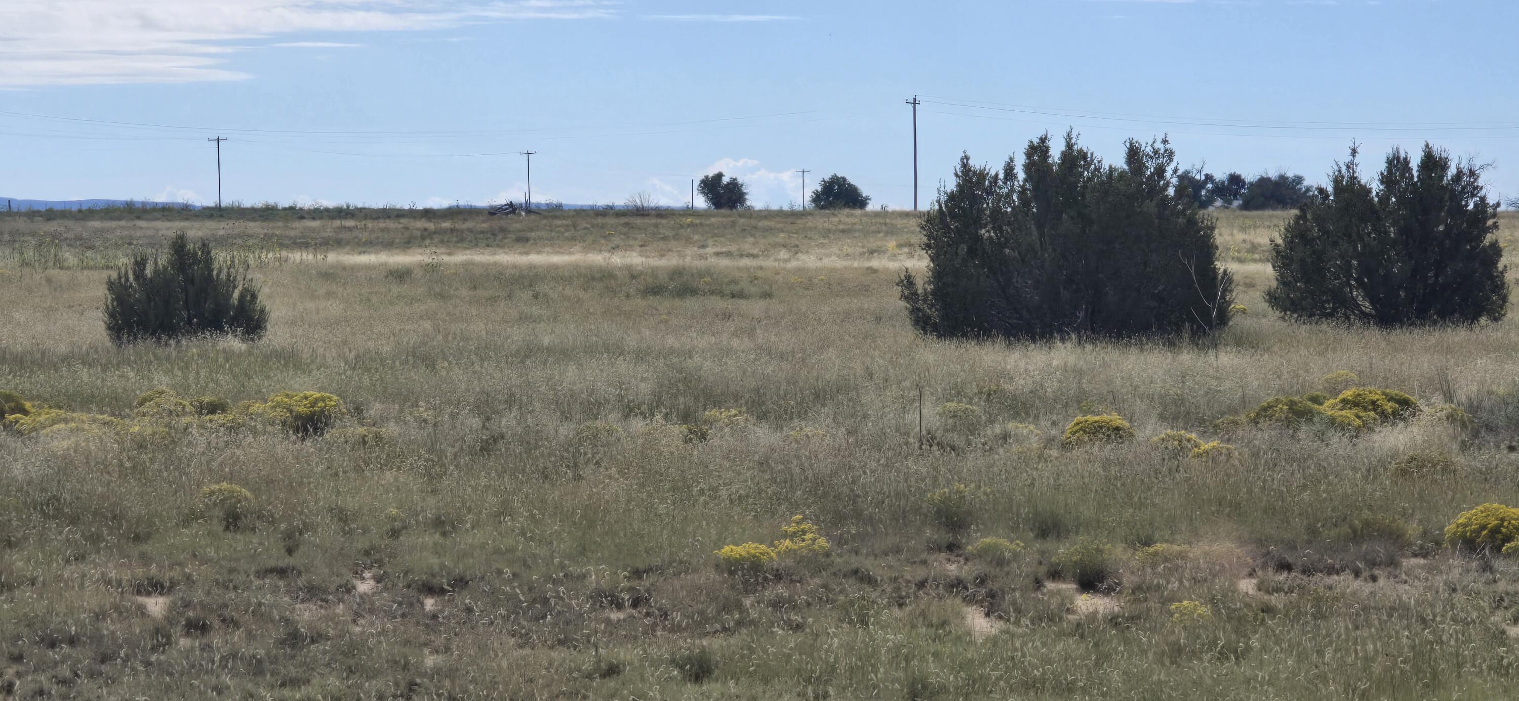 Photo 3 — 235 Riley Road