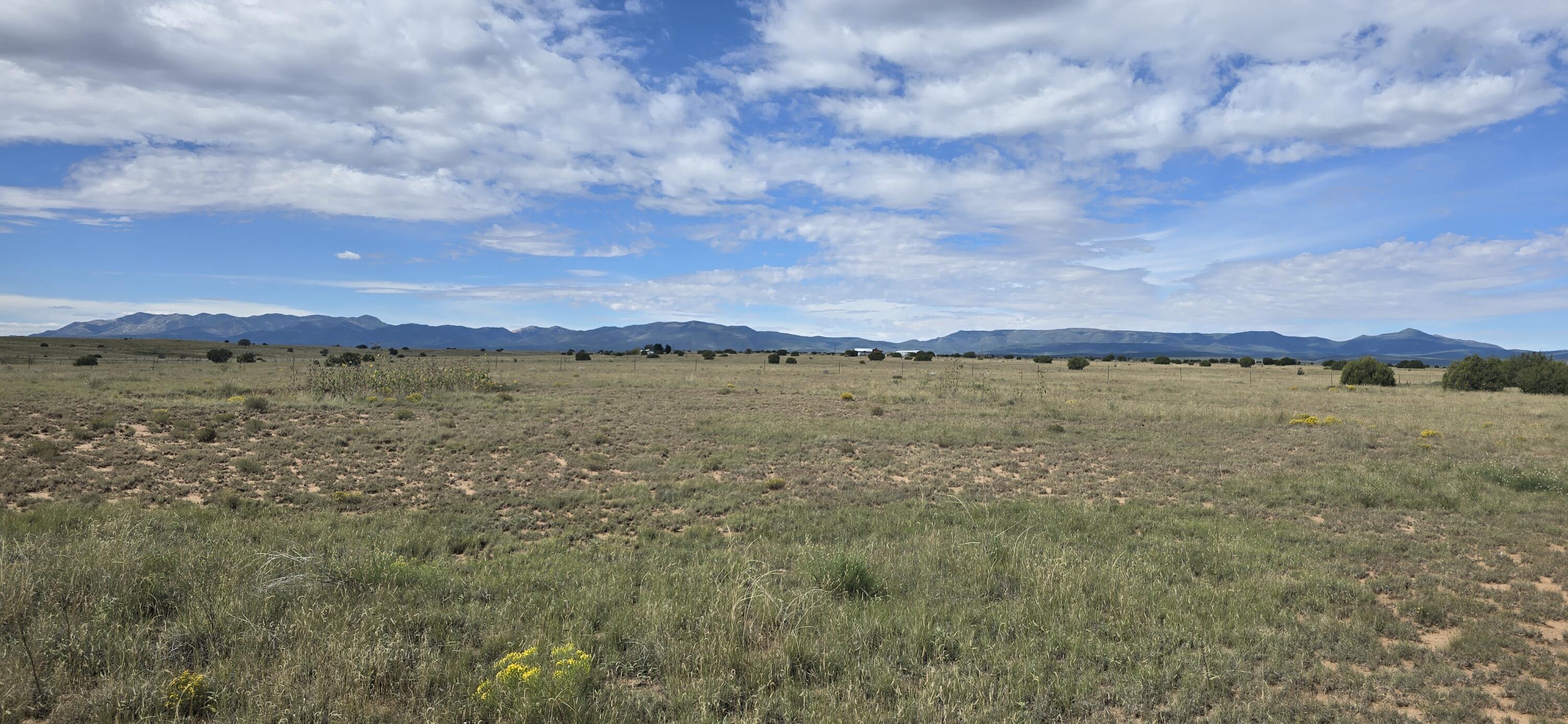 Photo 4 — 235 Riley Road