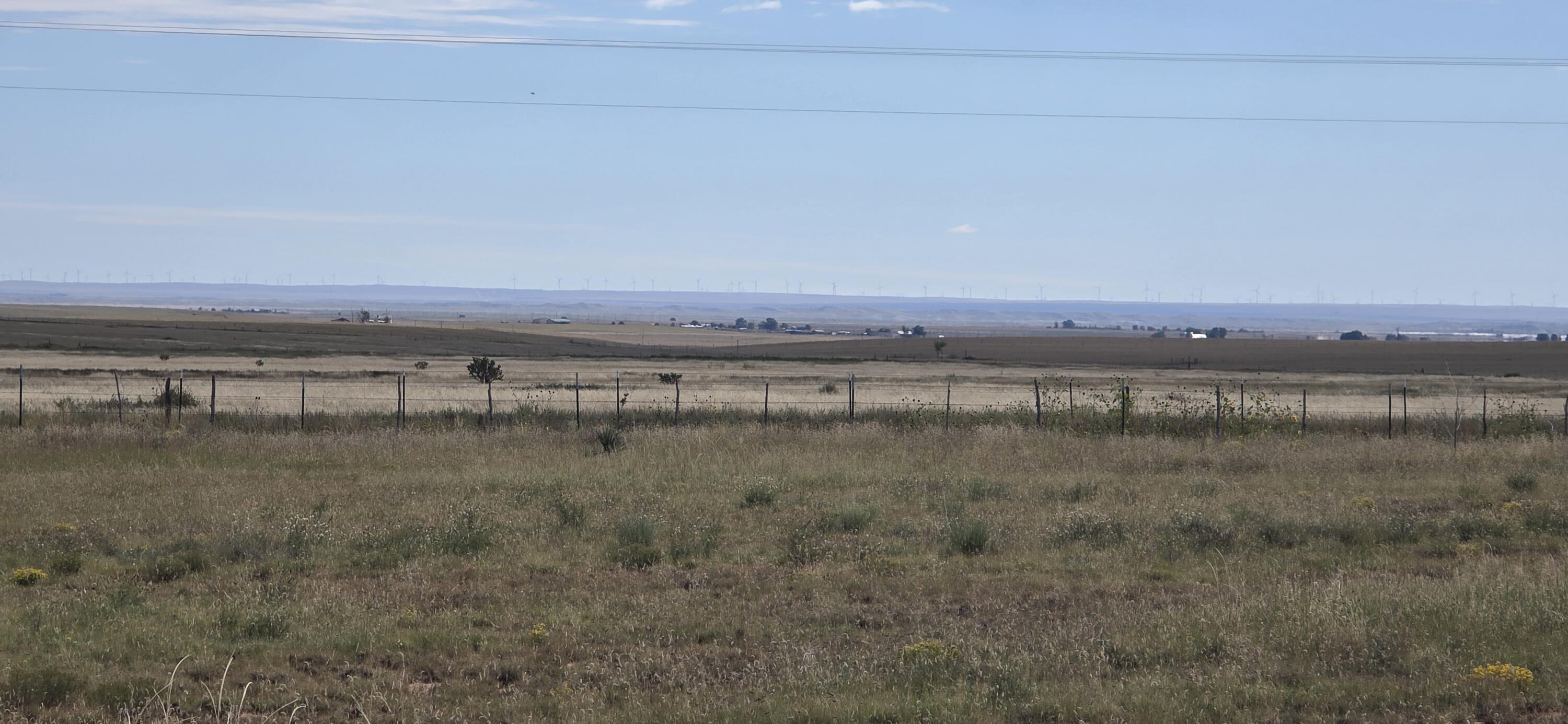 Photo 7 — 235 Riley Road
