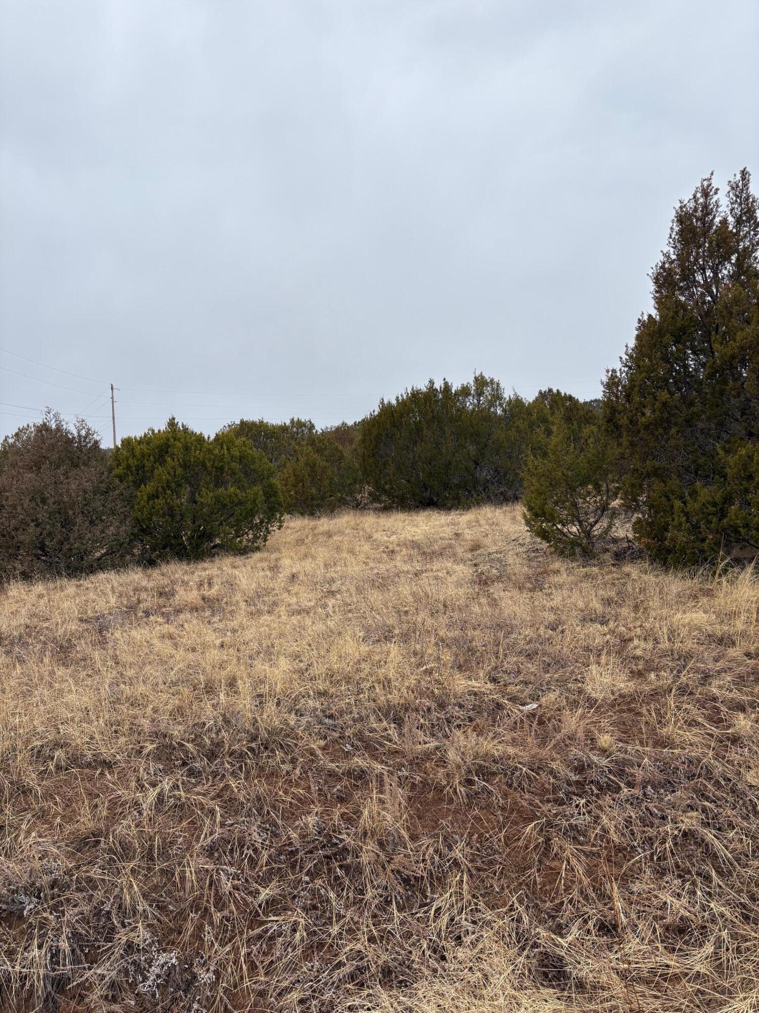90 Jesse James Road, Edgewood, NM 87015