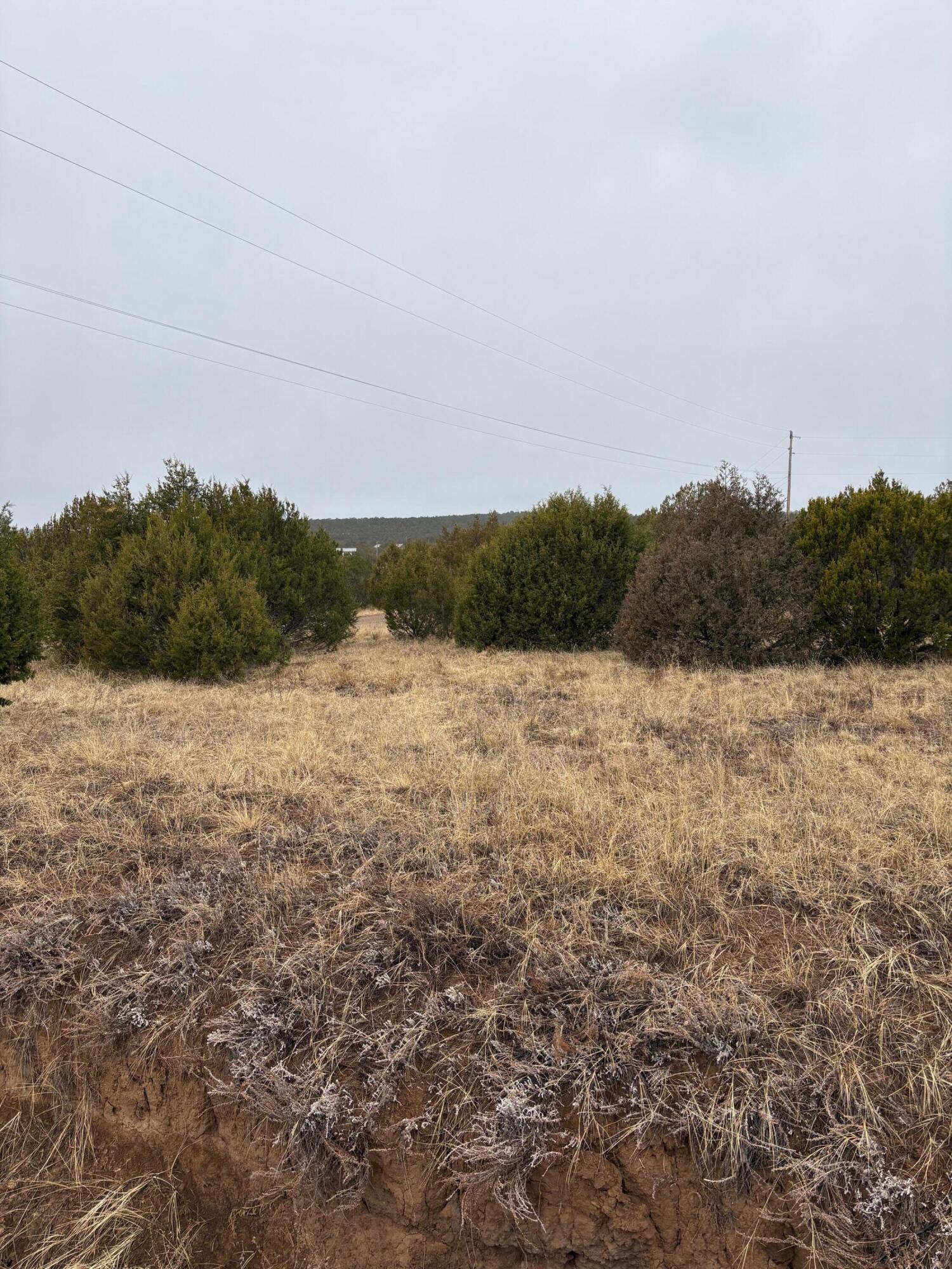 Photo 5 — 90 Jesse James Road