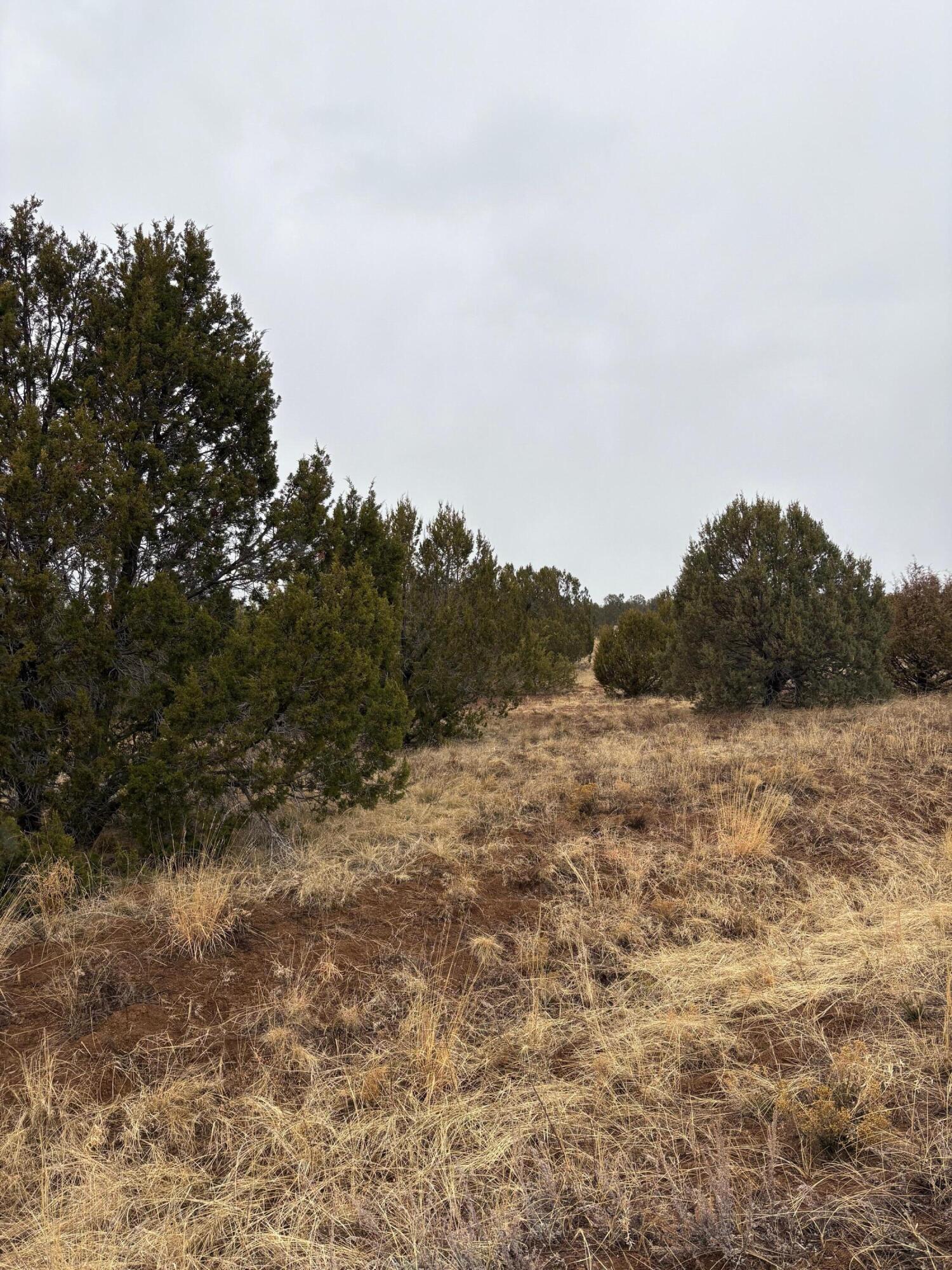 Photo 2 — 90 Jesse James Road
