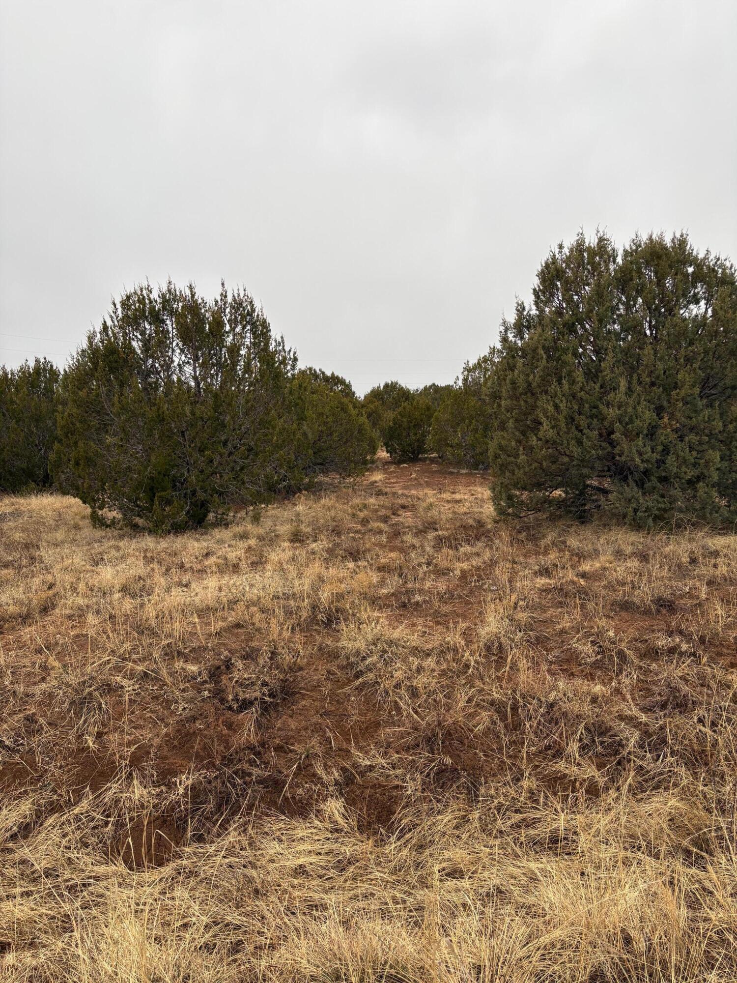 Photo 3 — 90 Jesse James Road