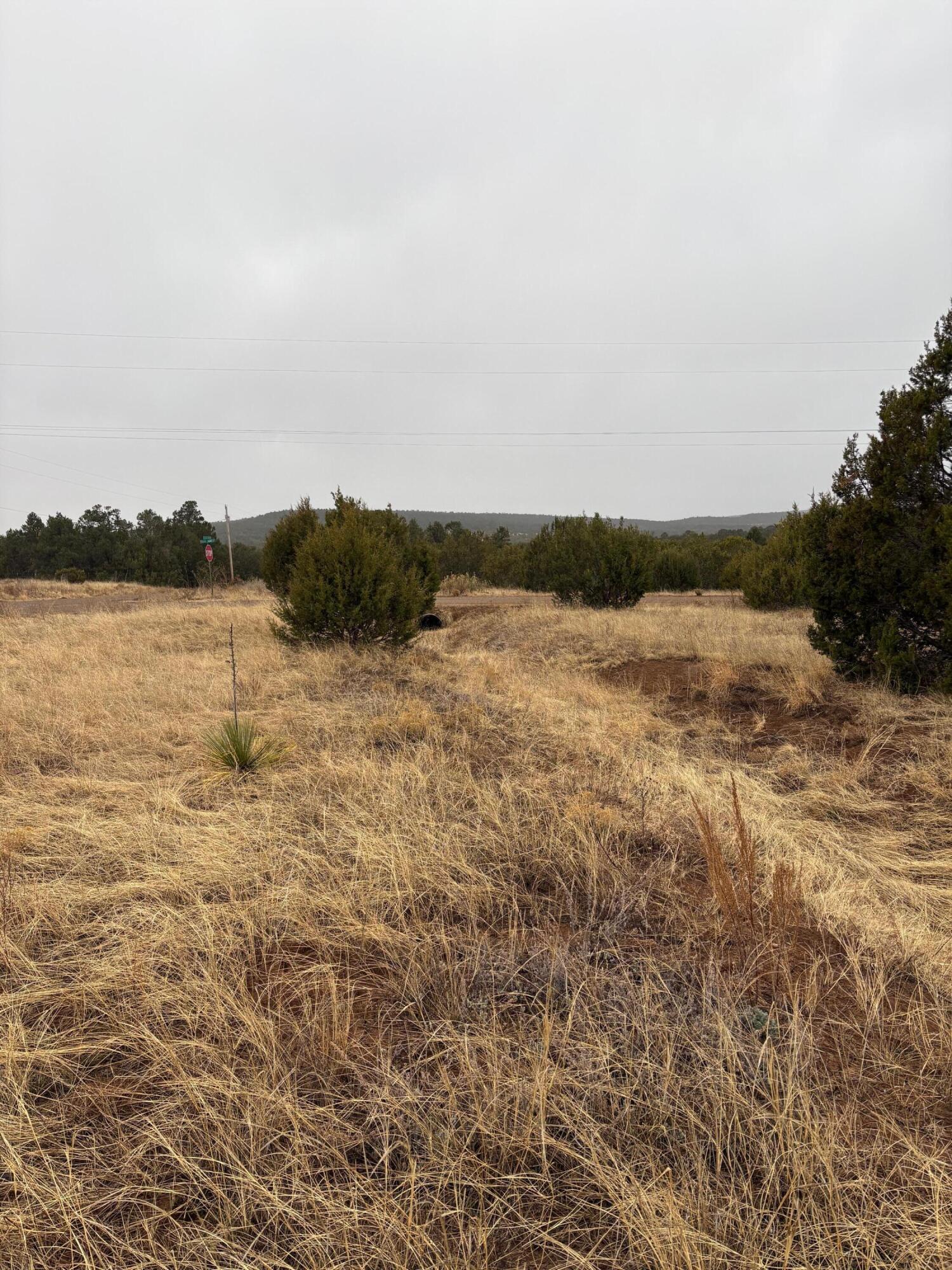 Photo 4 — 90 Jesse James Road