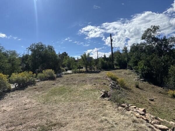 Photo 6 — 436 Apodaca Hill Street