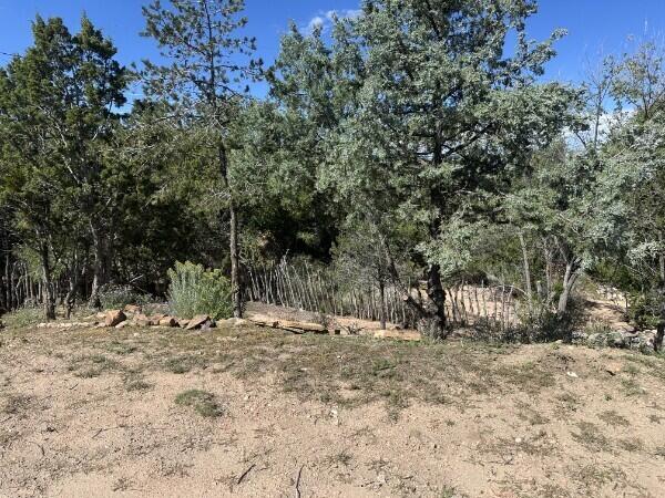Photo 5 — 436 Apodaca Hill Street