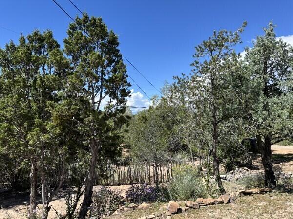Photo 4 — 436 Apodaca Hill Street