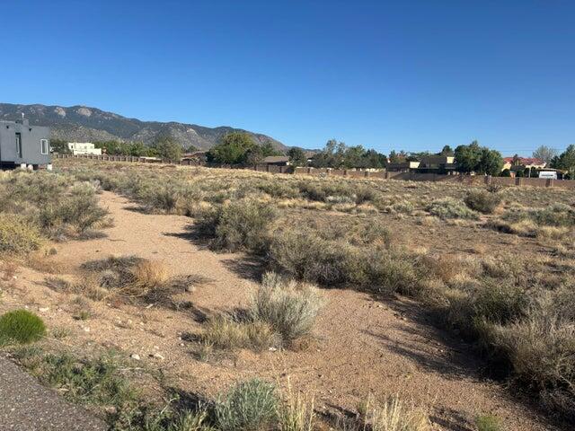 Photo 8 —  Del Rey Avenue NE