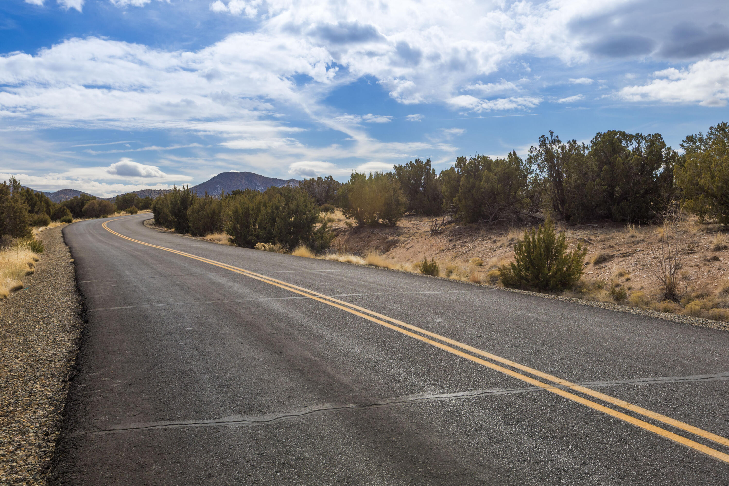 Photo 4 — 81 Turquoise Drive