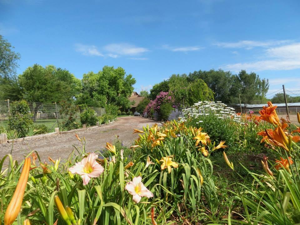Photo 8 — 350 Applewood Road