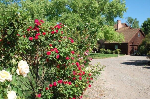 Photo 3 — 350 Applewood Road