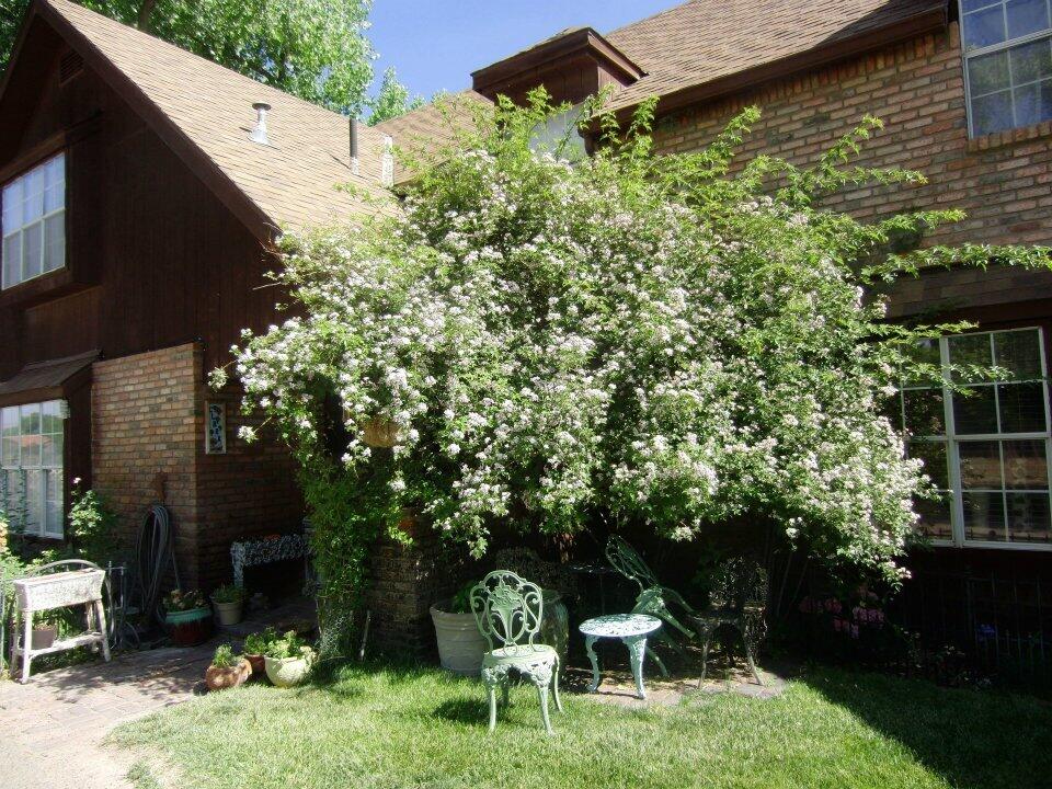 Photo 4 — 350 Applewood Road