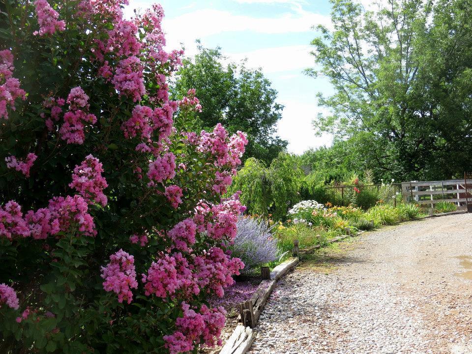 Photo 5 — 350 Applewood Road