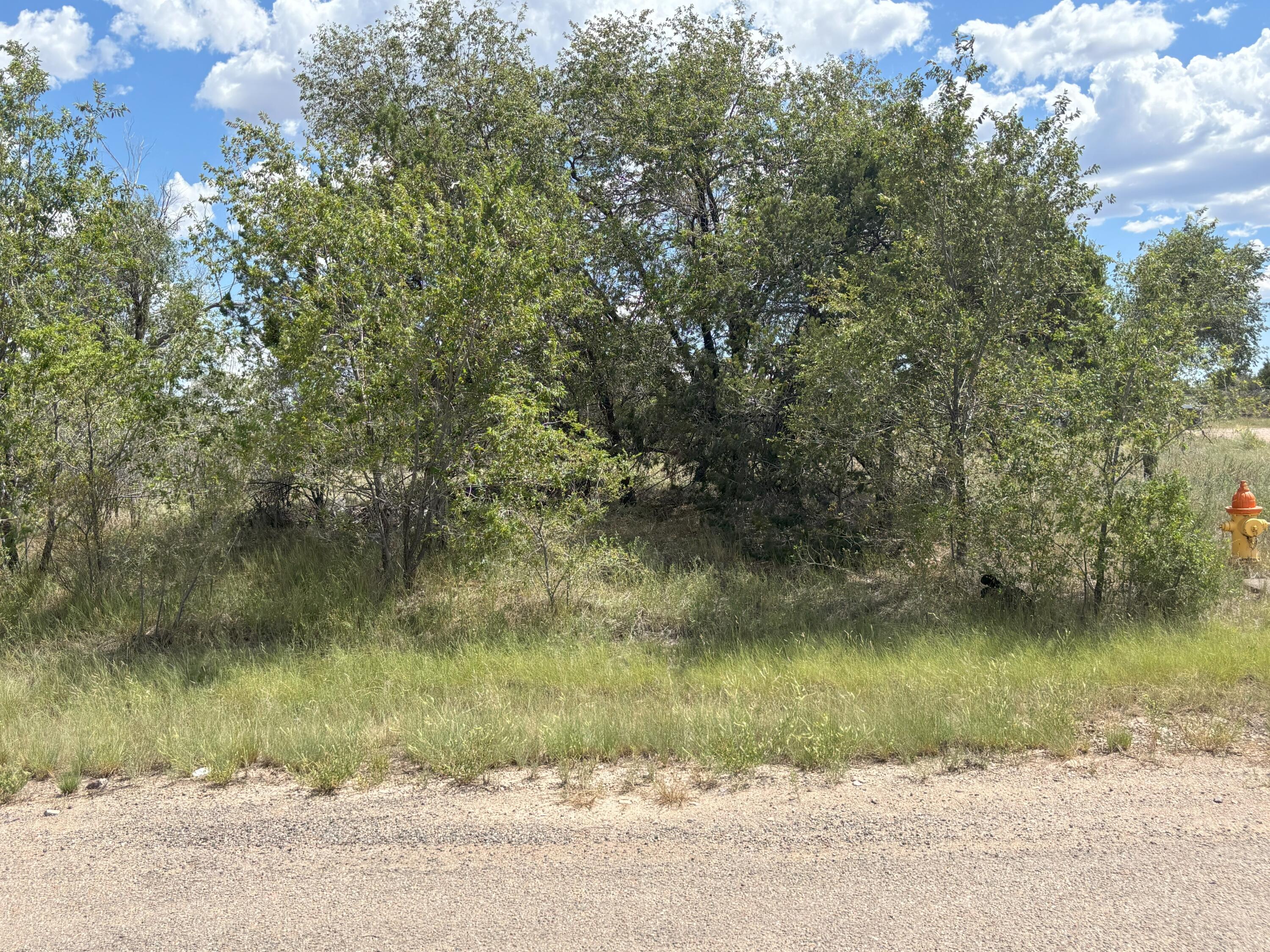 602 Corbett Avenue, Mountainair, NM 87036