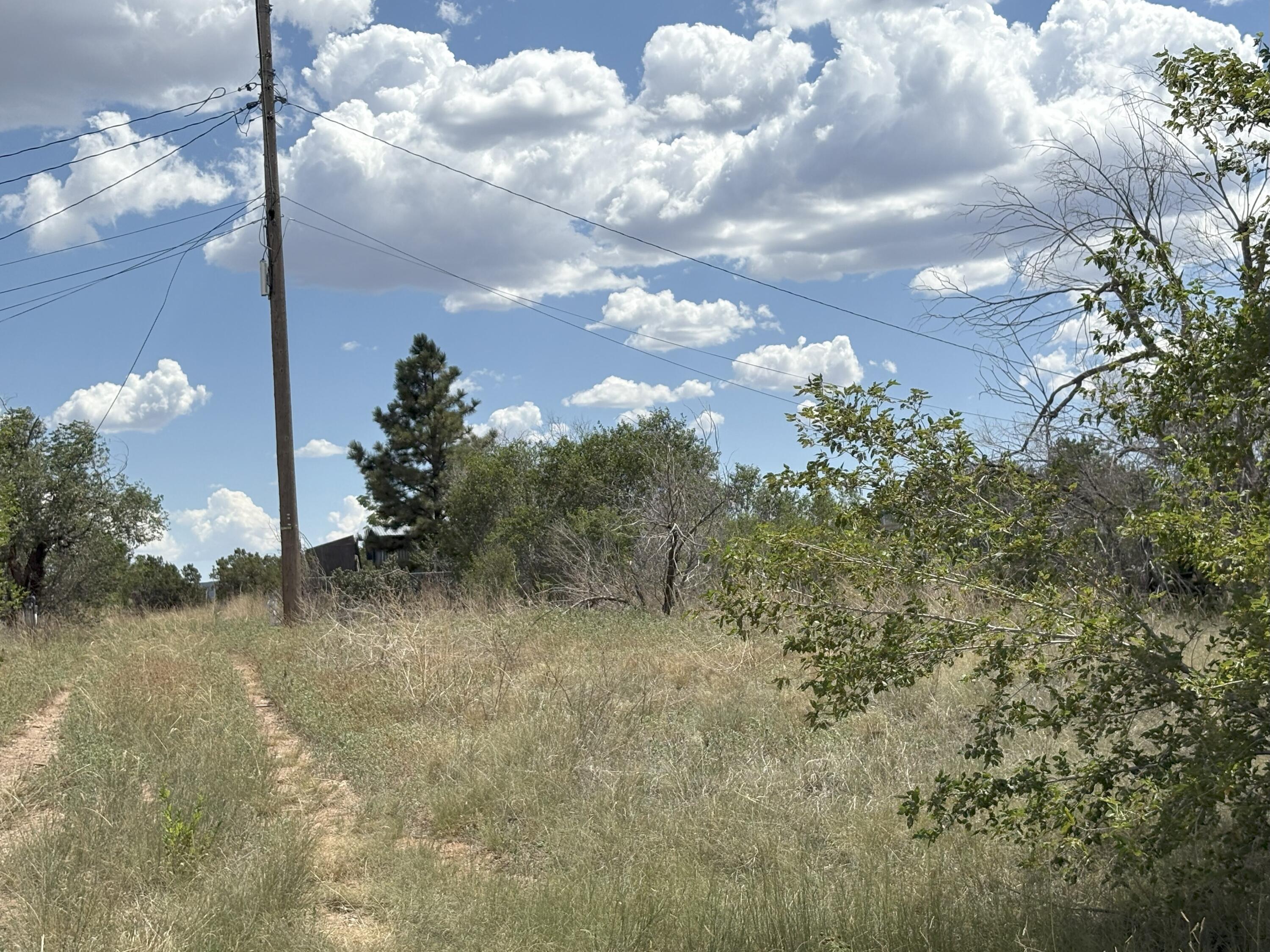 Photo 3 — 602 Corbett Avenue