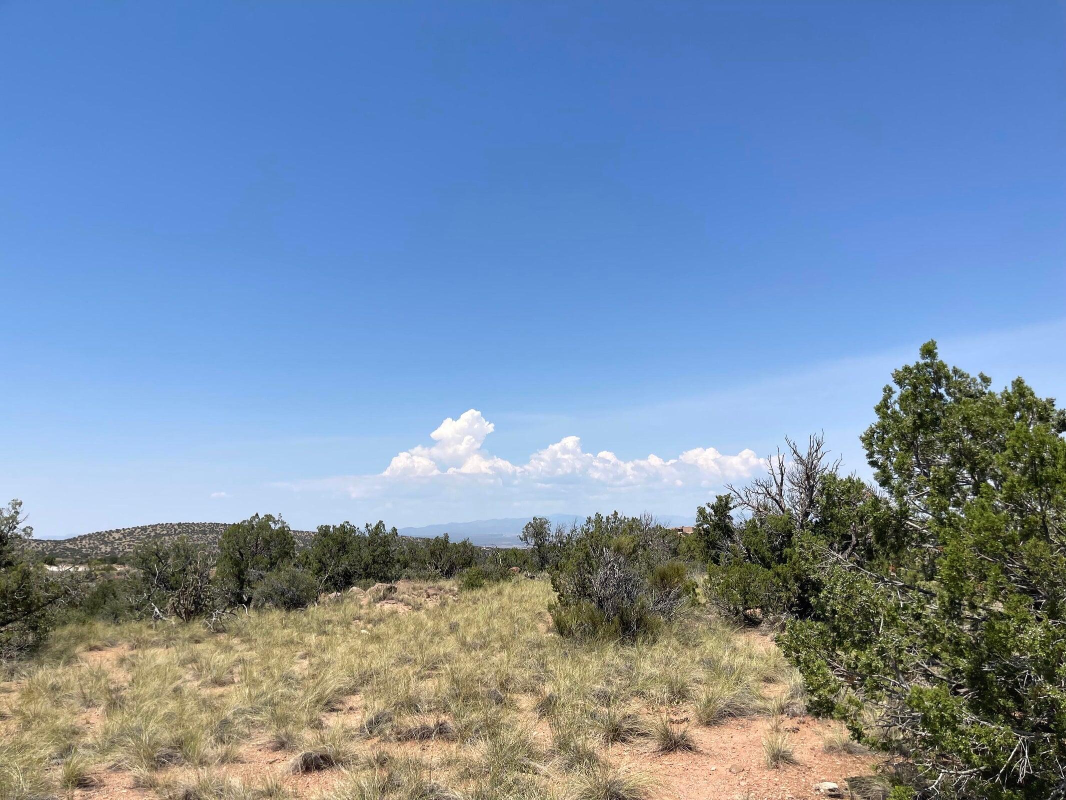 Photo 3 — 239 Moonlight Ridge Road Lot 101