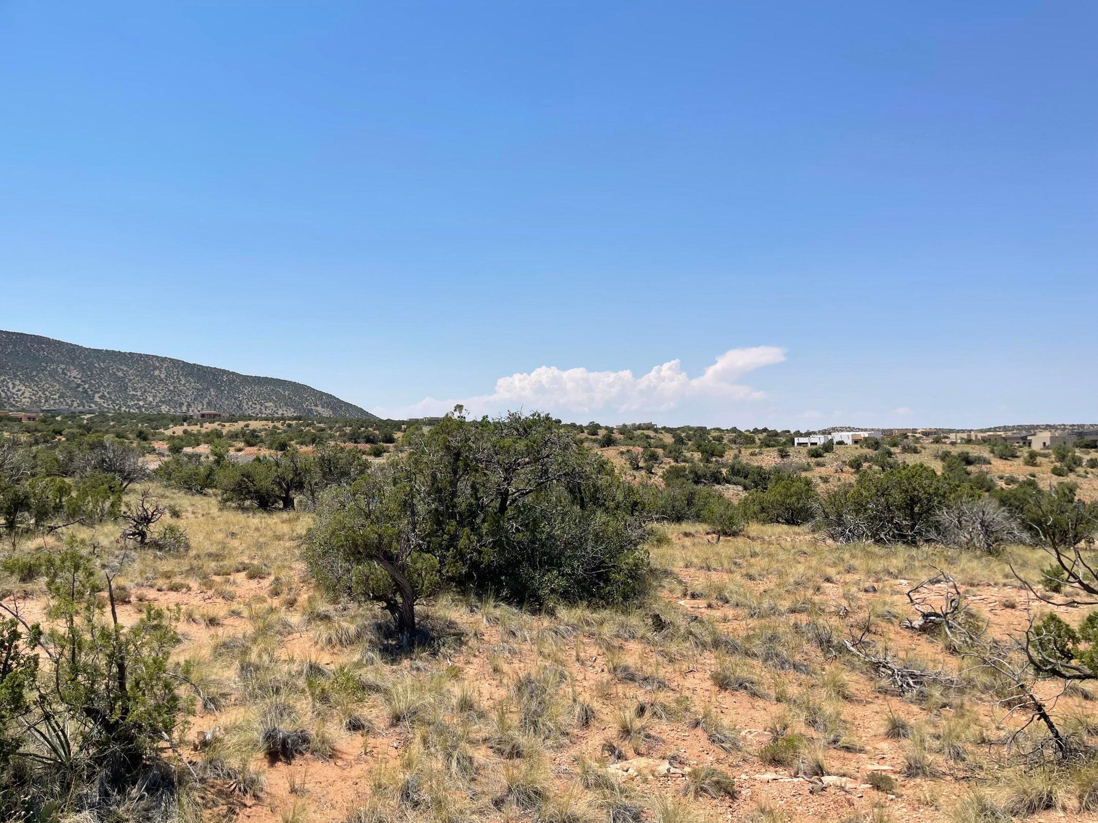 Photo 4 — 239 Moonlight Ridge Road Lot 101