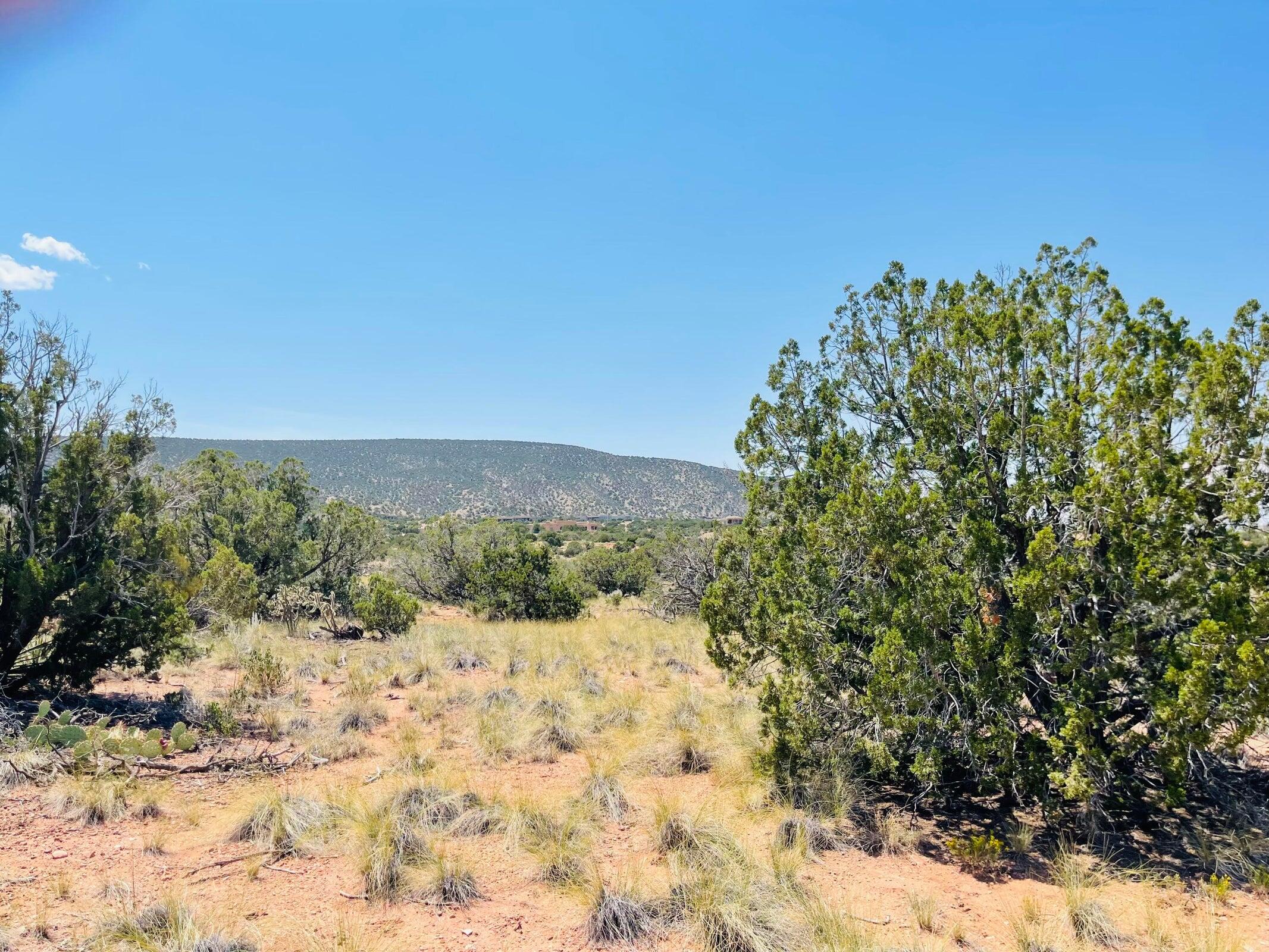 Photo 6 — 239 Moonlight Ridge Road Lot 101